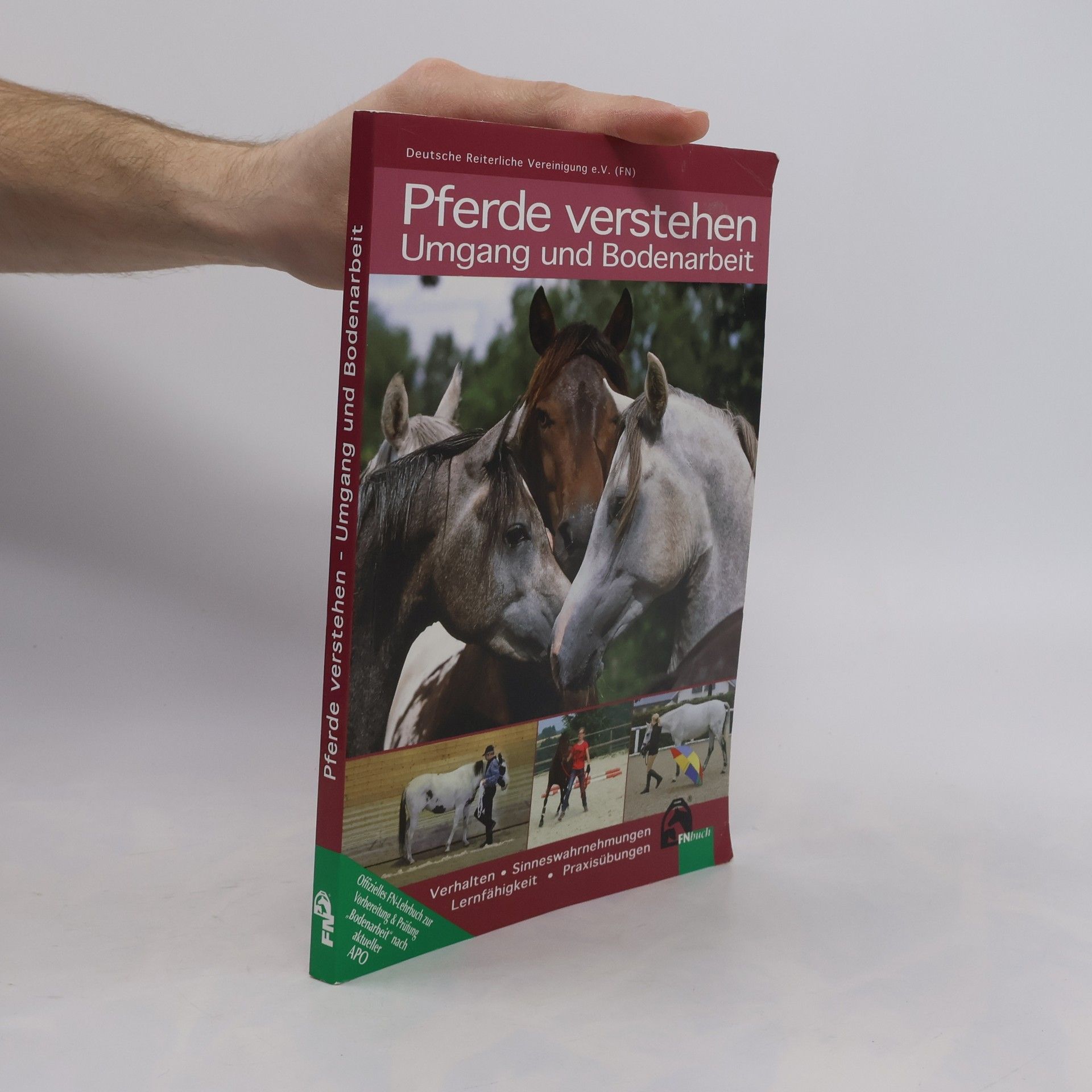 Sabine Hänel Pferde verstehen