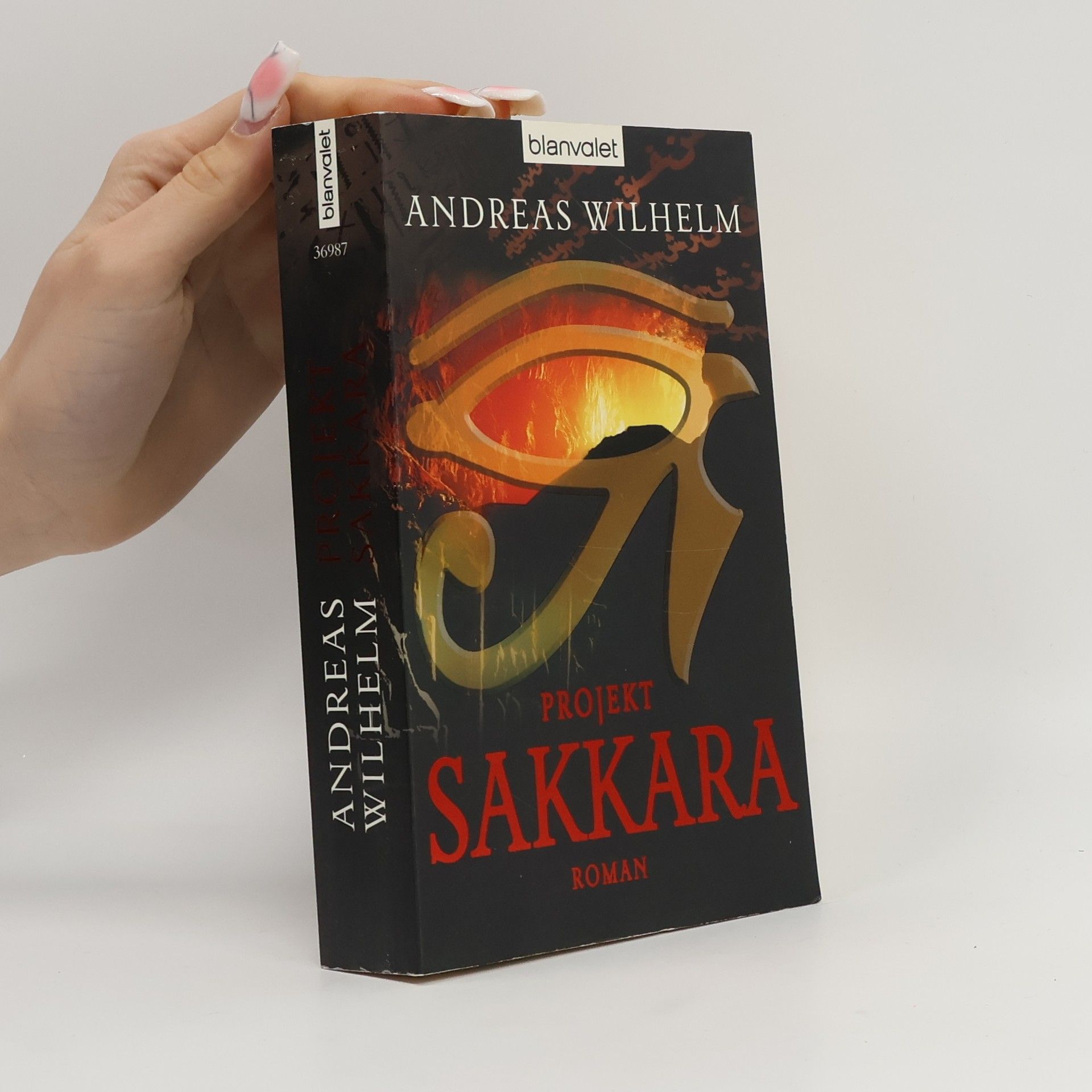 Andreas Wilhelm Projekt: Sakkara