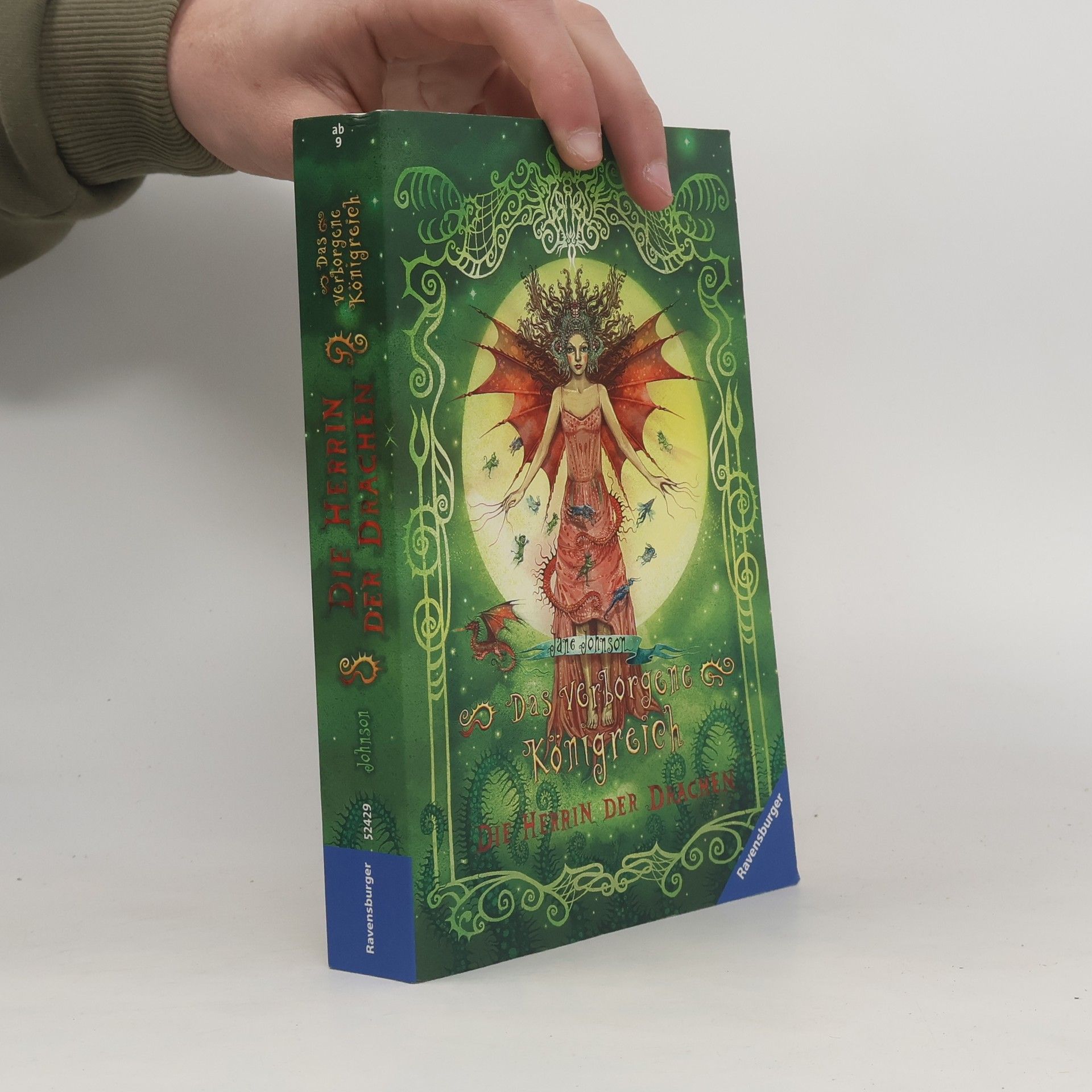 Jude Fisher Das verborgene Königreich