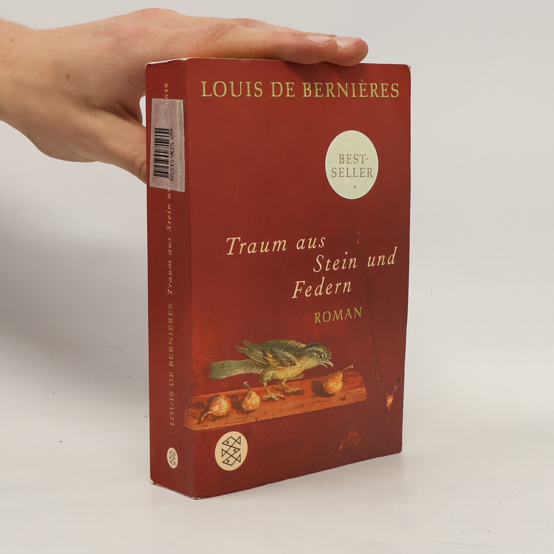 Louis de Bernières Traum aus Stein und Federn