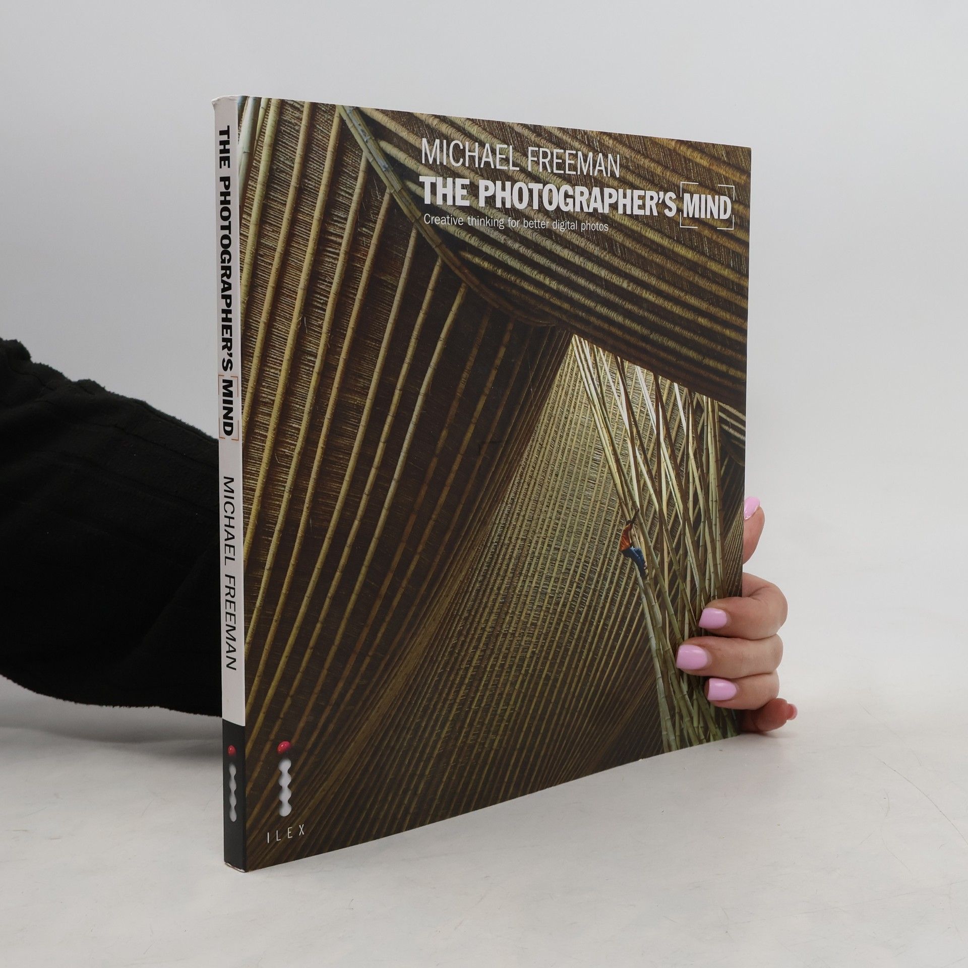 Michael Freeman The Photographer's Mind