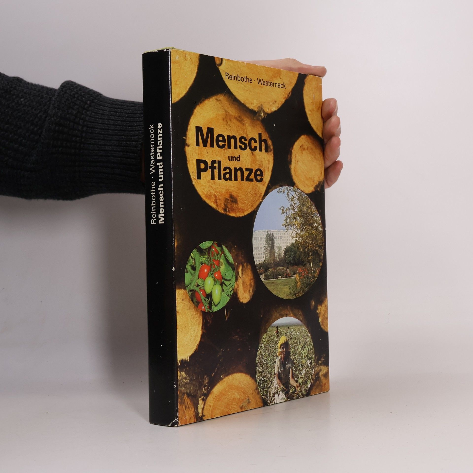 Collectif d'auteurs Mensch und Pflanzen