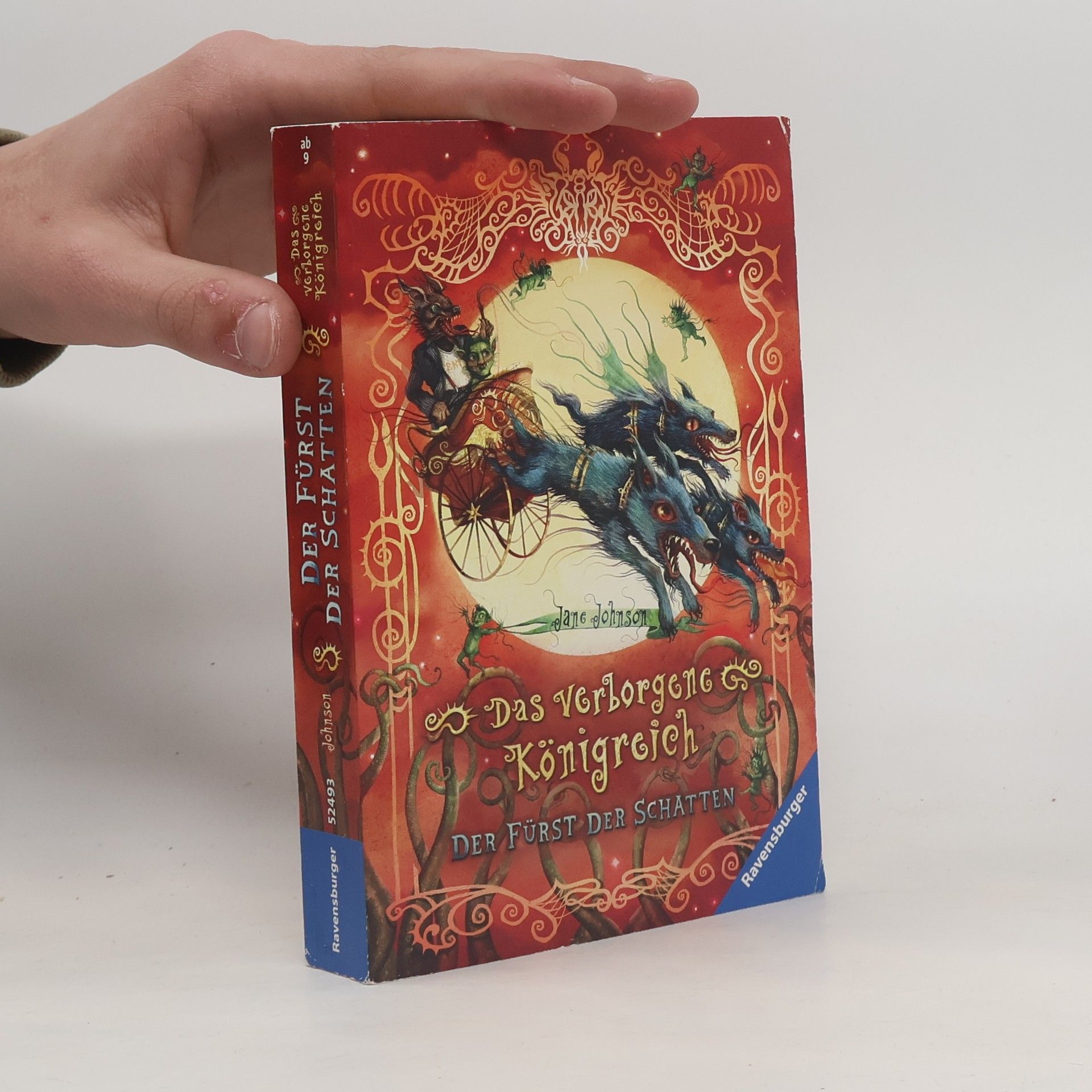 Jude Fisher Das Verborgene Königreich