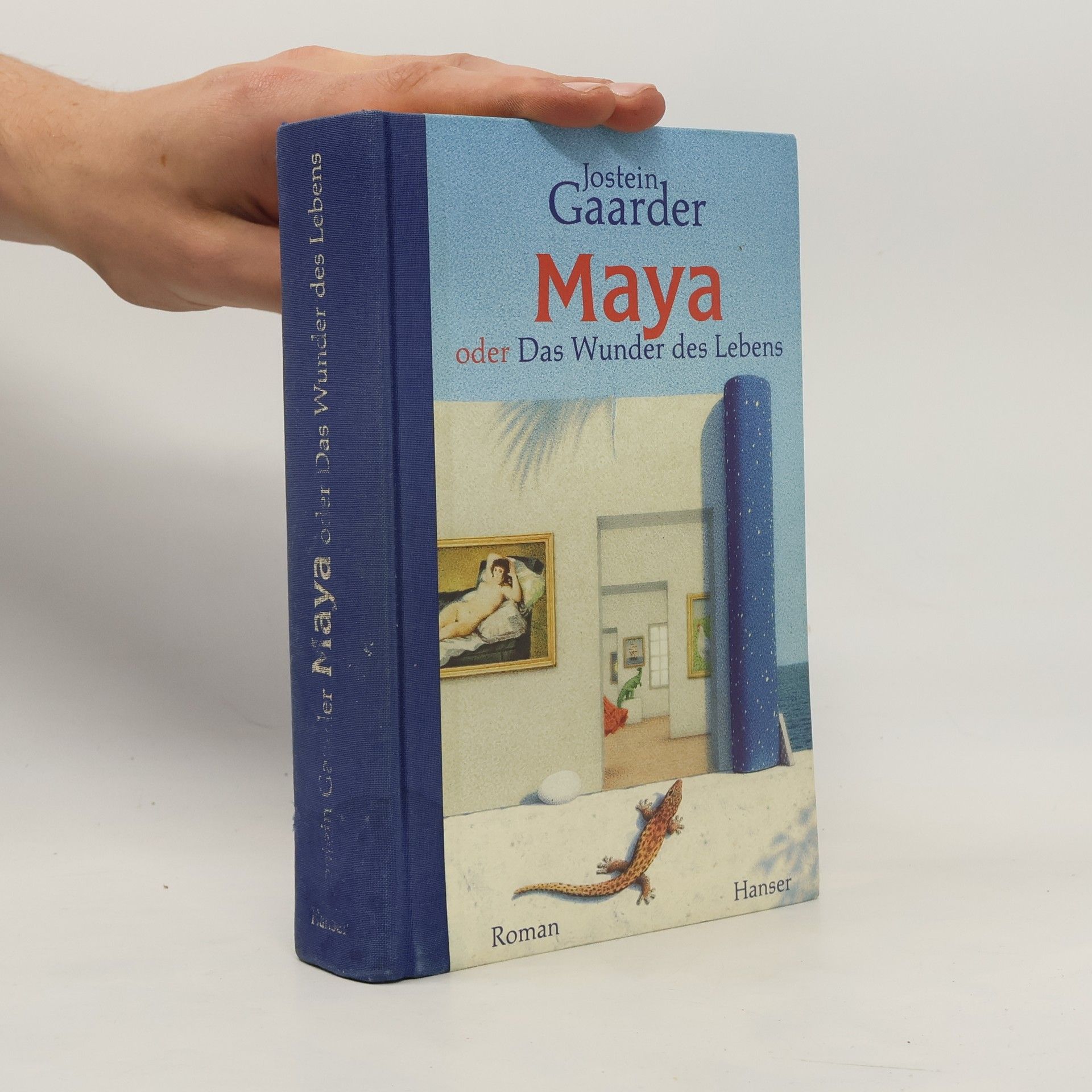 Jostein Gaarder Maya oder Das Wunder des Lebens