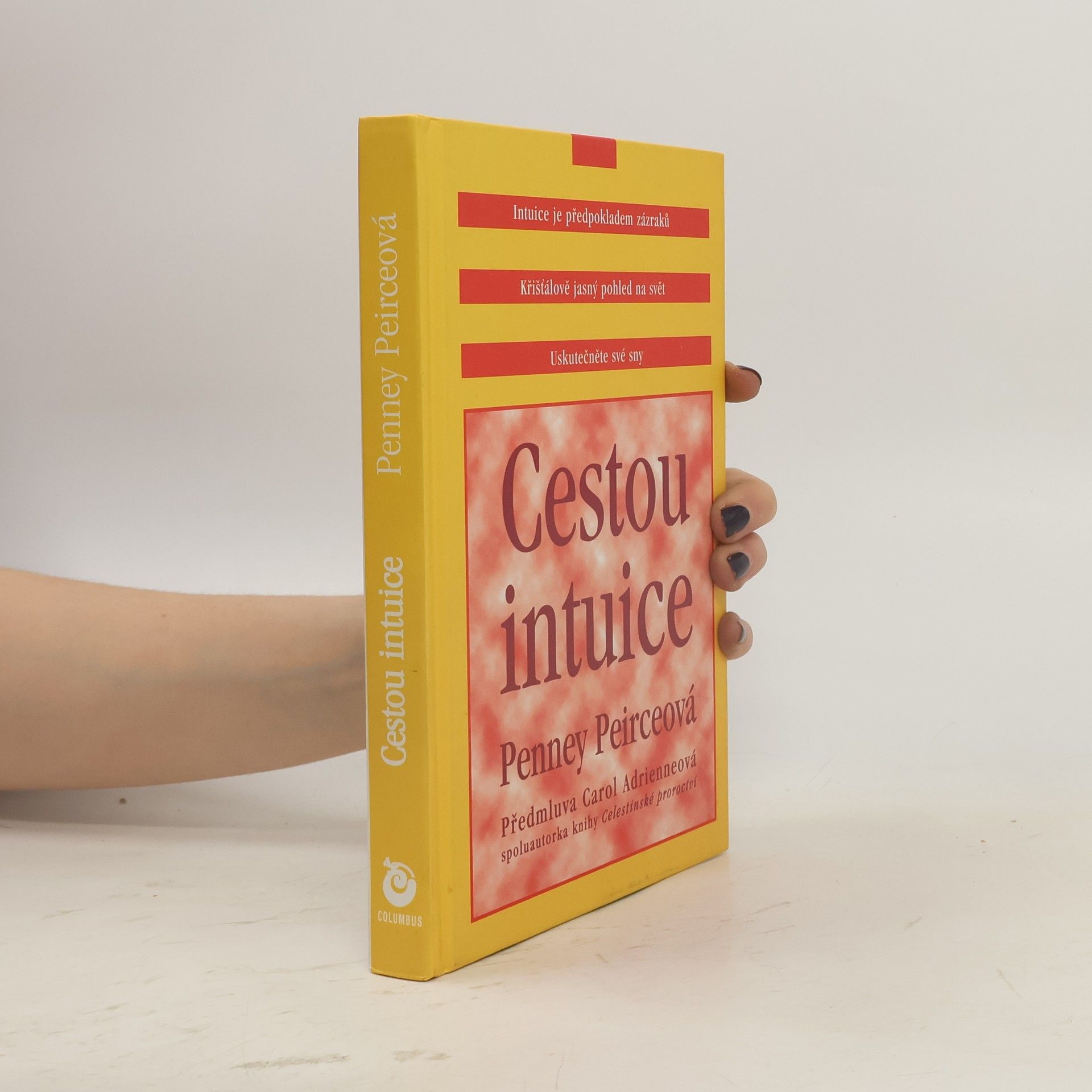Penney Peirce Cestou intuice: Průvodce životem pod vedením vnitřní moudrosti