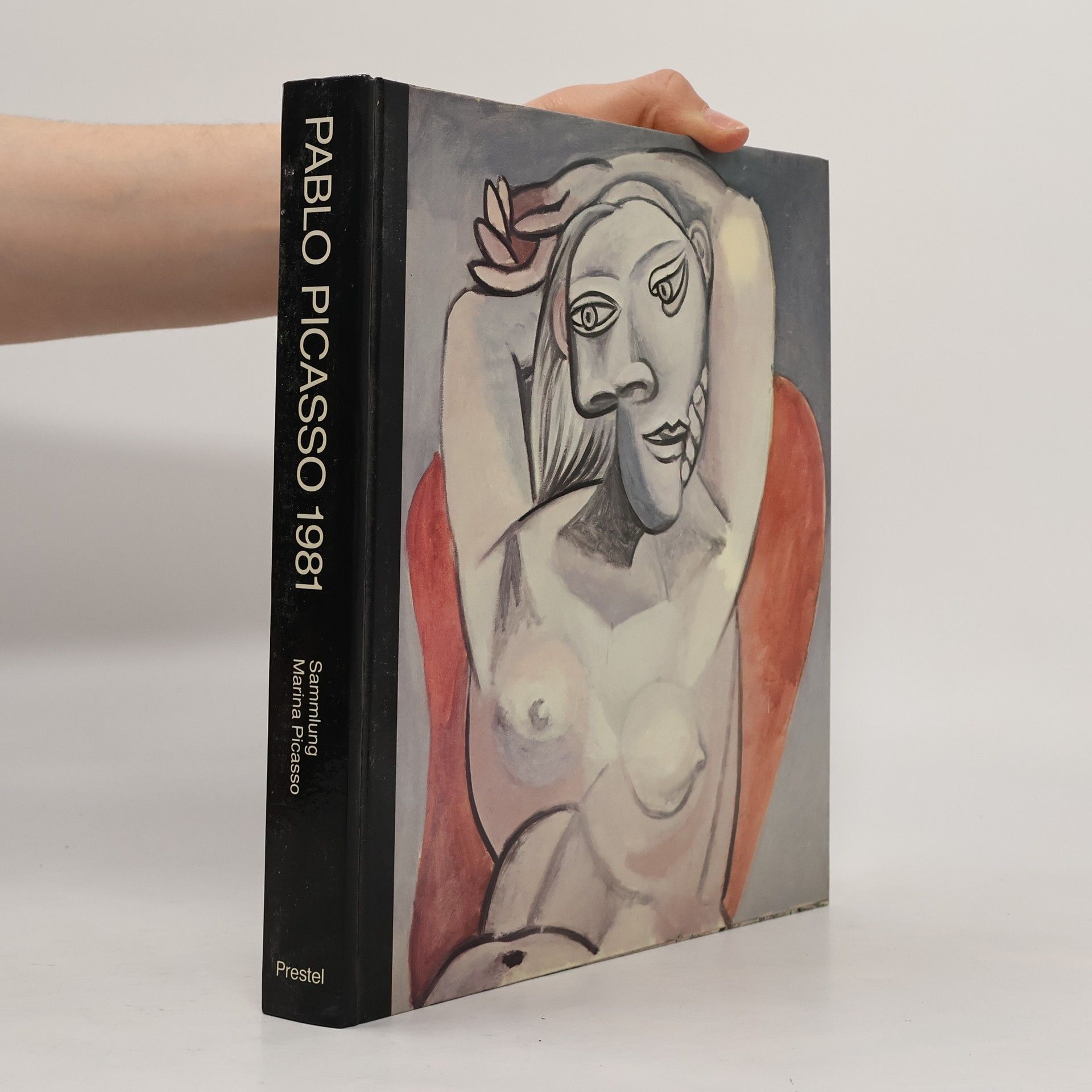 Autorenkollektiv Pablo Picasso