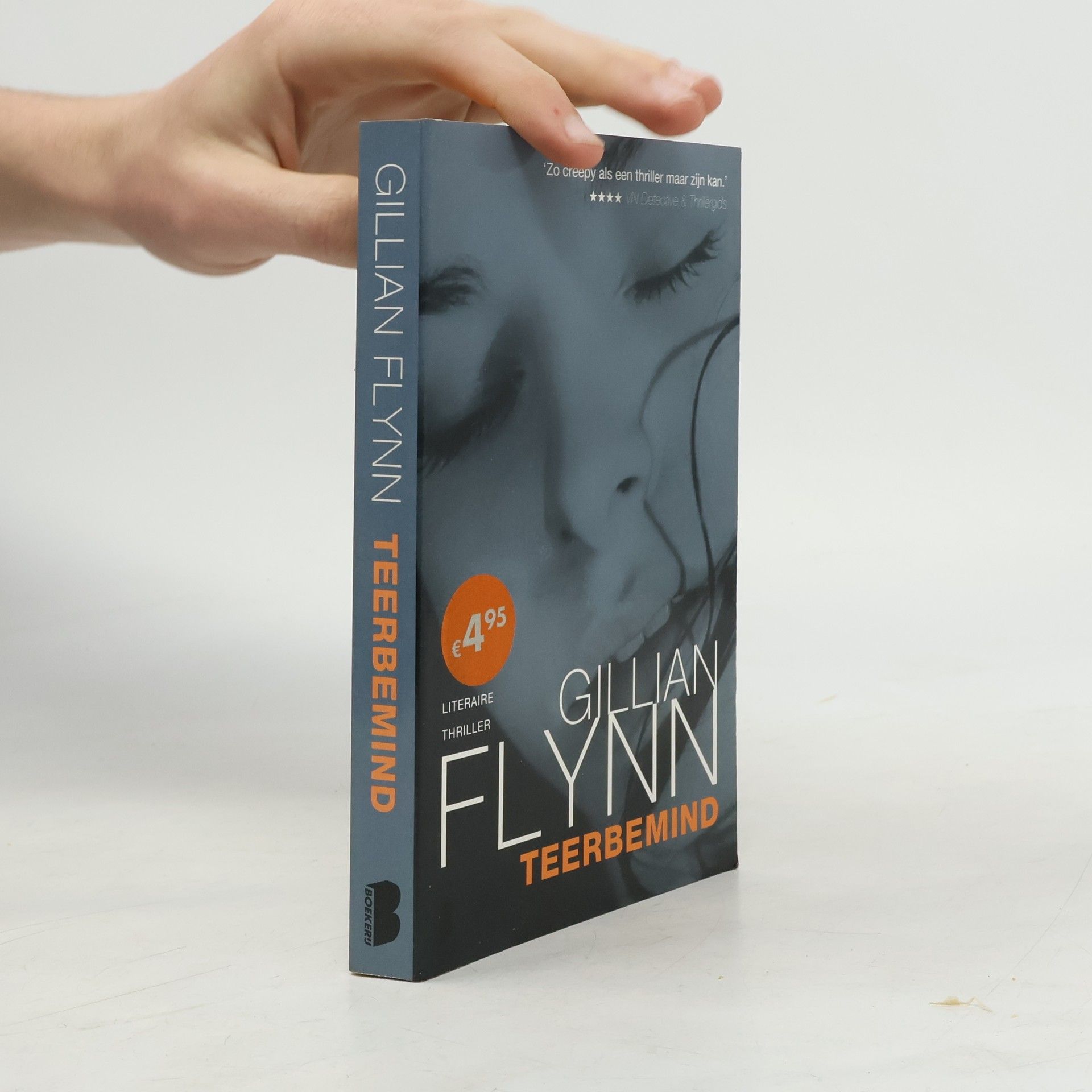 Gillian Flynn Teerbemind