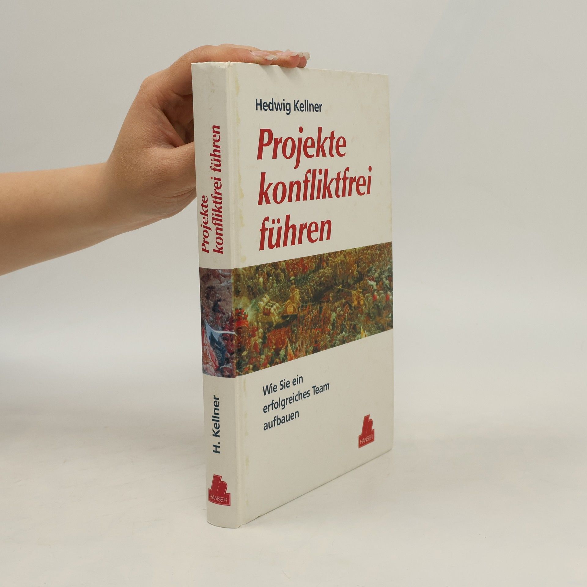 Hedwig Kellner Projekte konfliktfrei führen