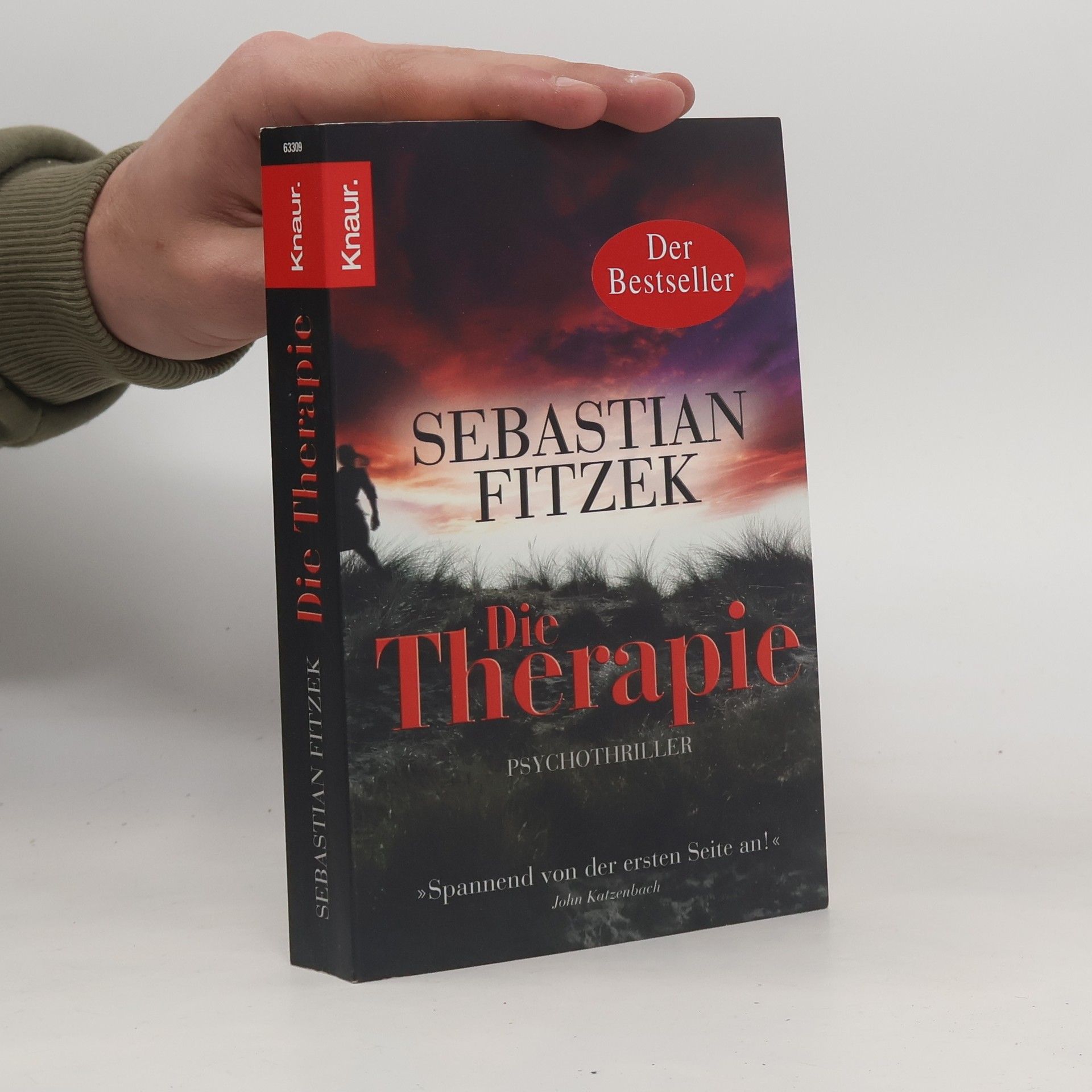 Sebastian Fitzek Die Therapie