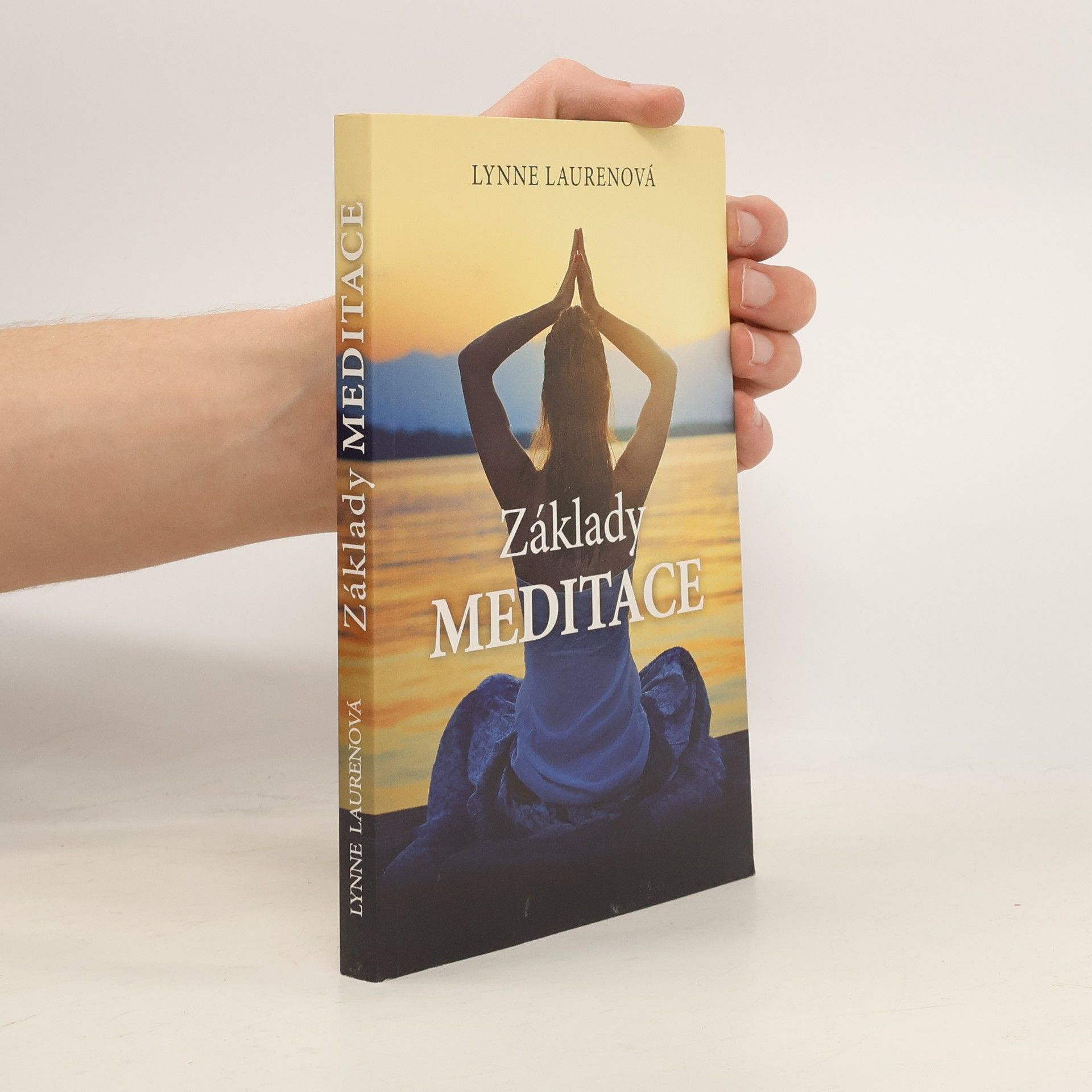 Lynne Lauren Základy meditace