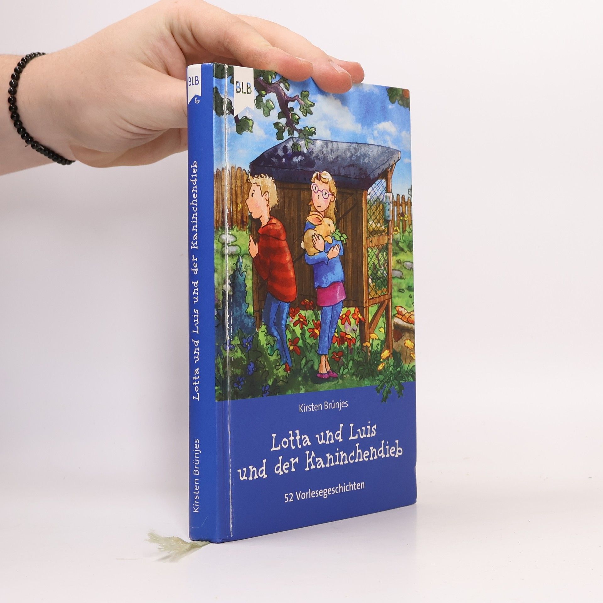 Kirsten Brünjes Lotta und Luis und der Kaninchendieb