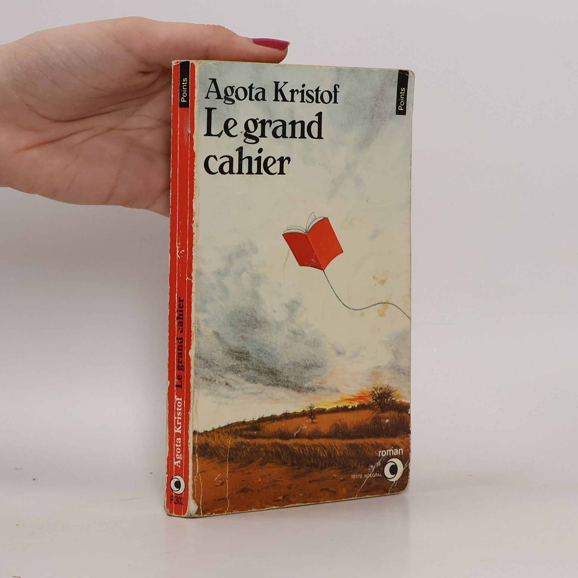Le grand cahier