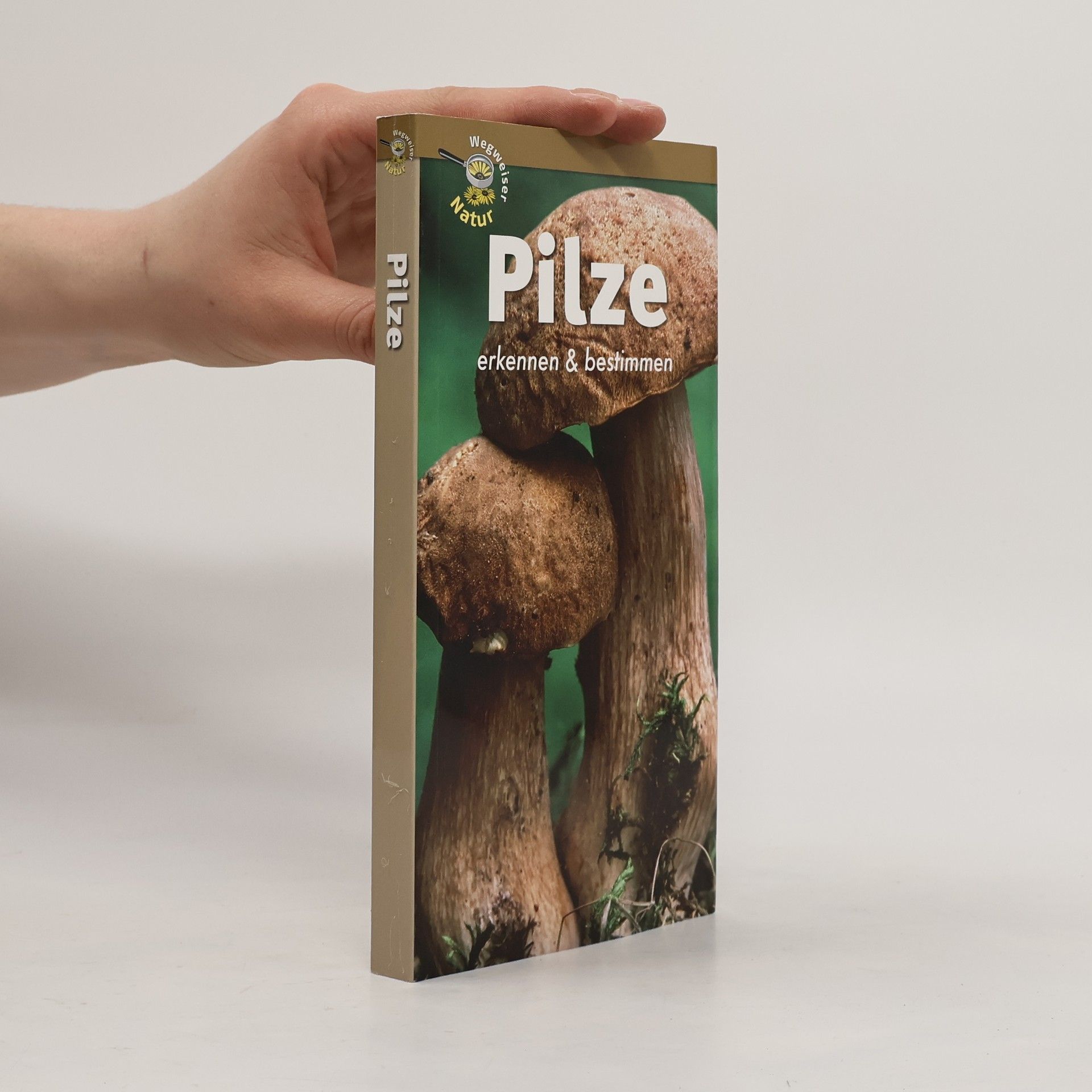 Marianne Glaßer Pilze