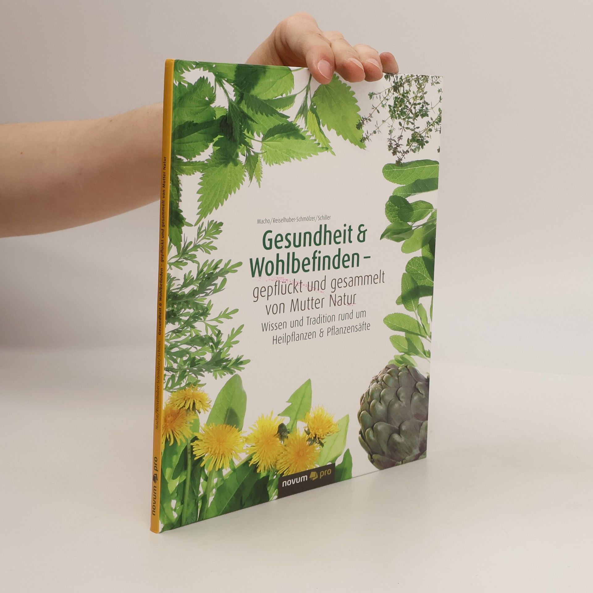 Britta Macho Gesundheit & Wohlbefinden - gepflückt und gesammelt von Mutter Natur