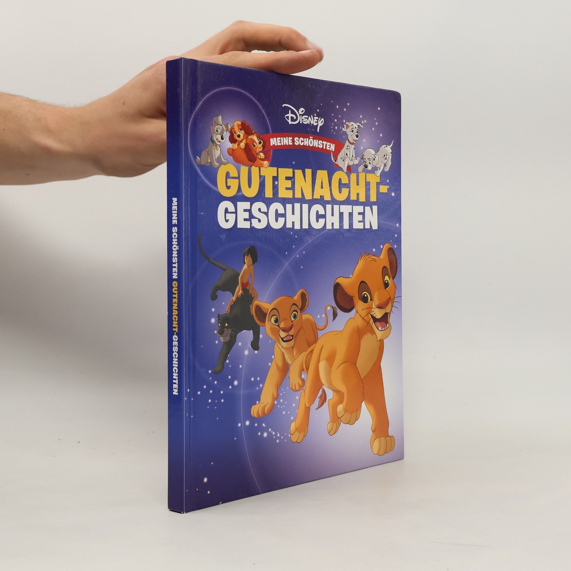 Autorenkollektiv Gutenacht-Geschichten