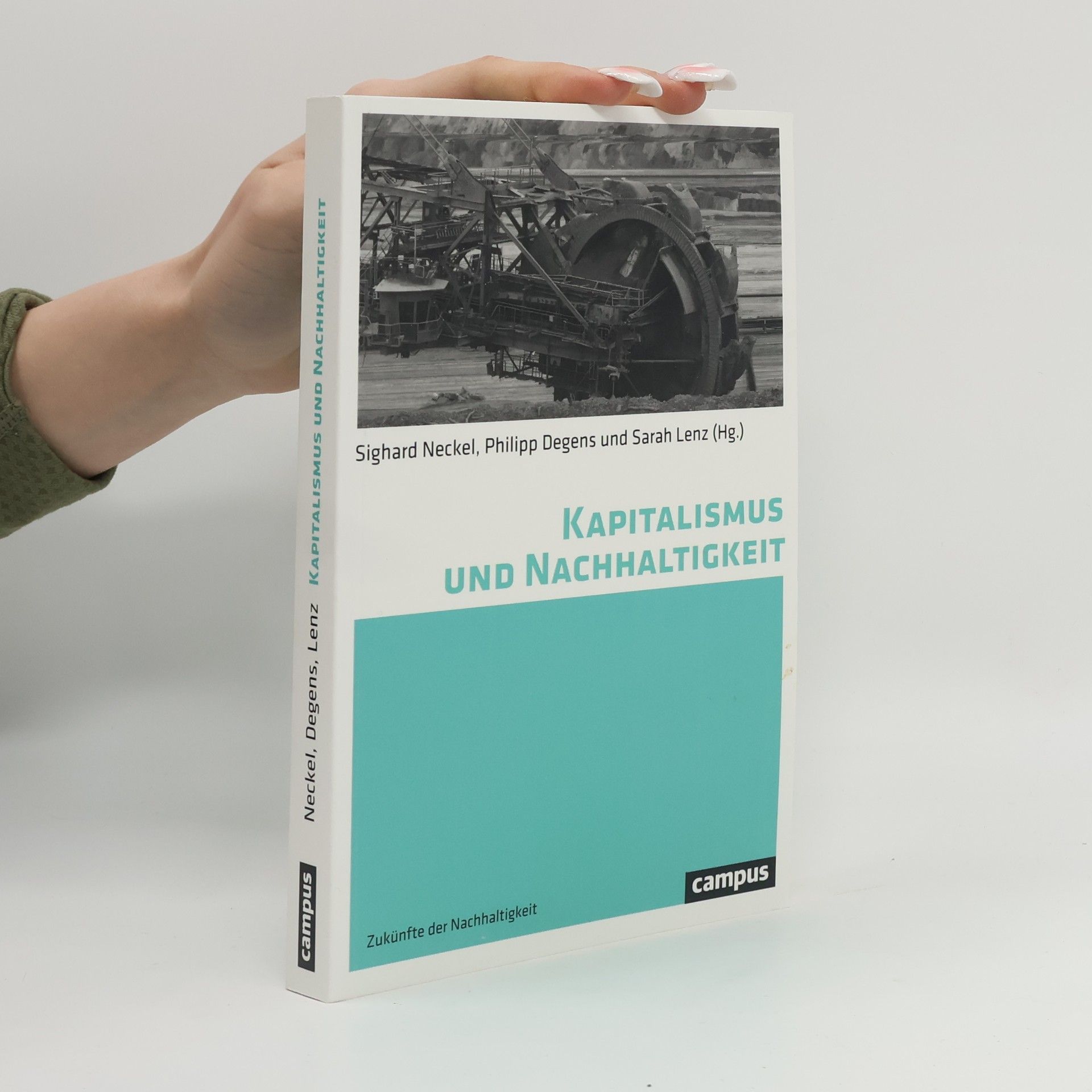 Sighard Neckel Kapitalismus und Nachhaltigkeit