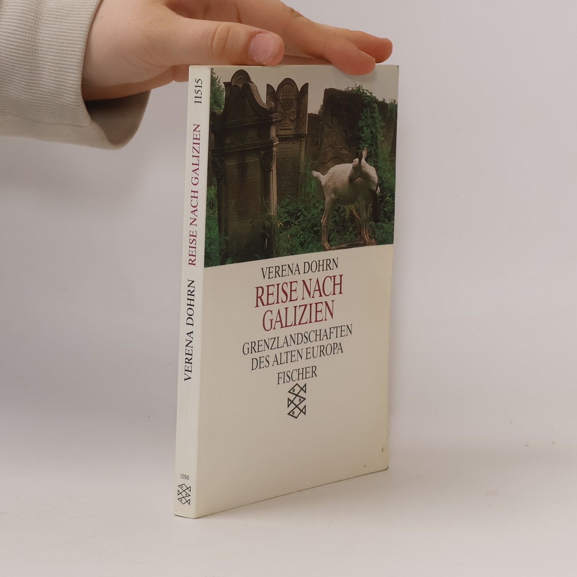 Verena Dohrn Reise nach Galizien