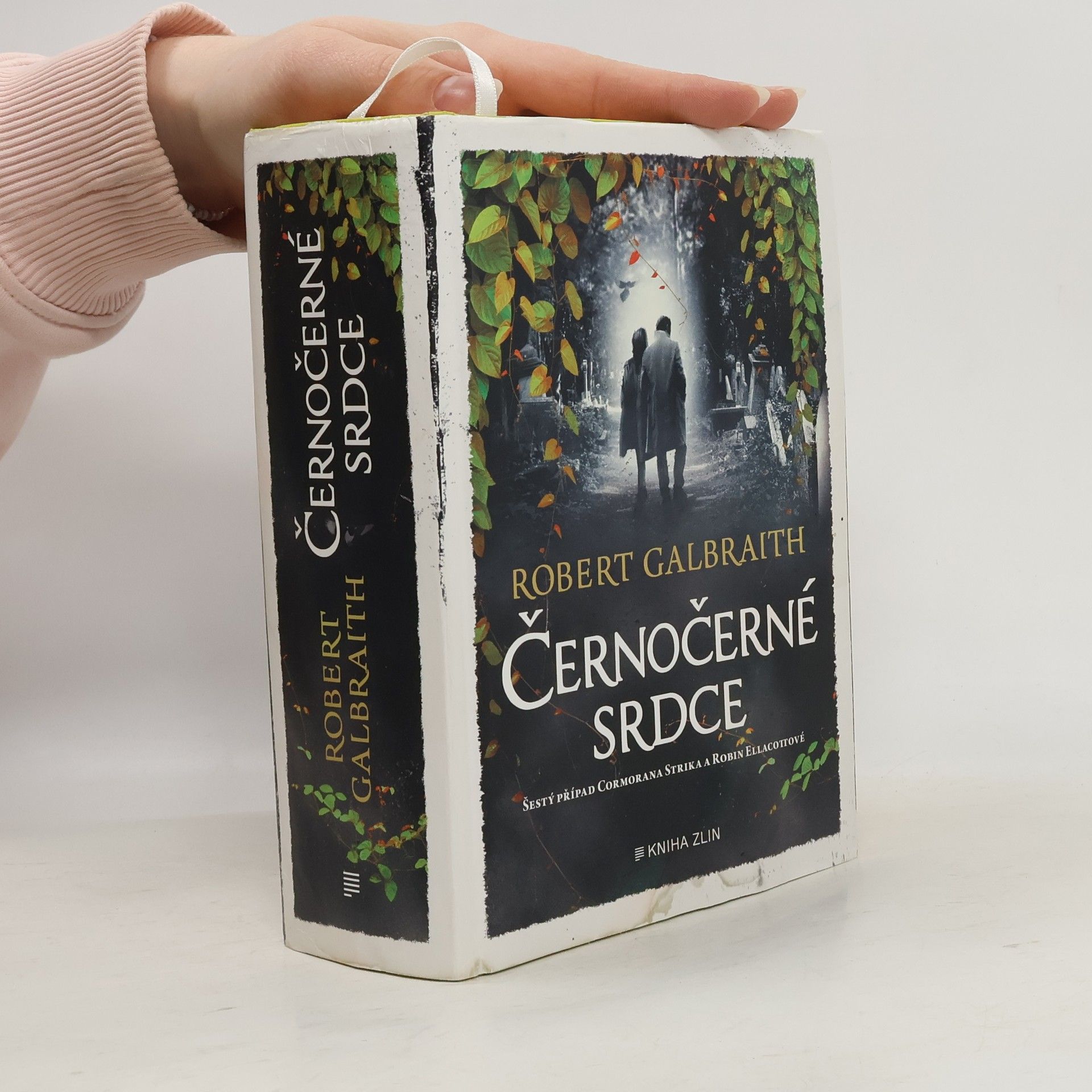 Robert Galbraith Černočerné srdce