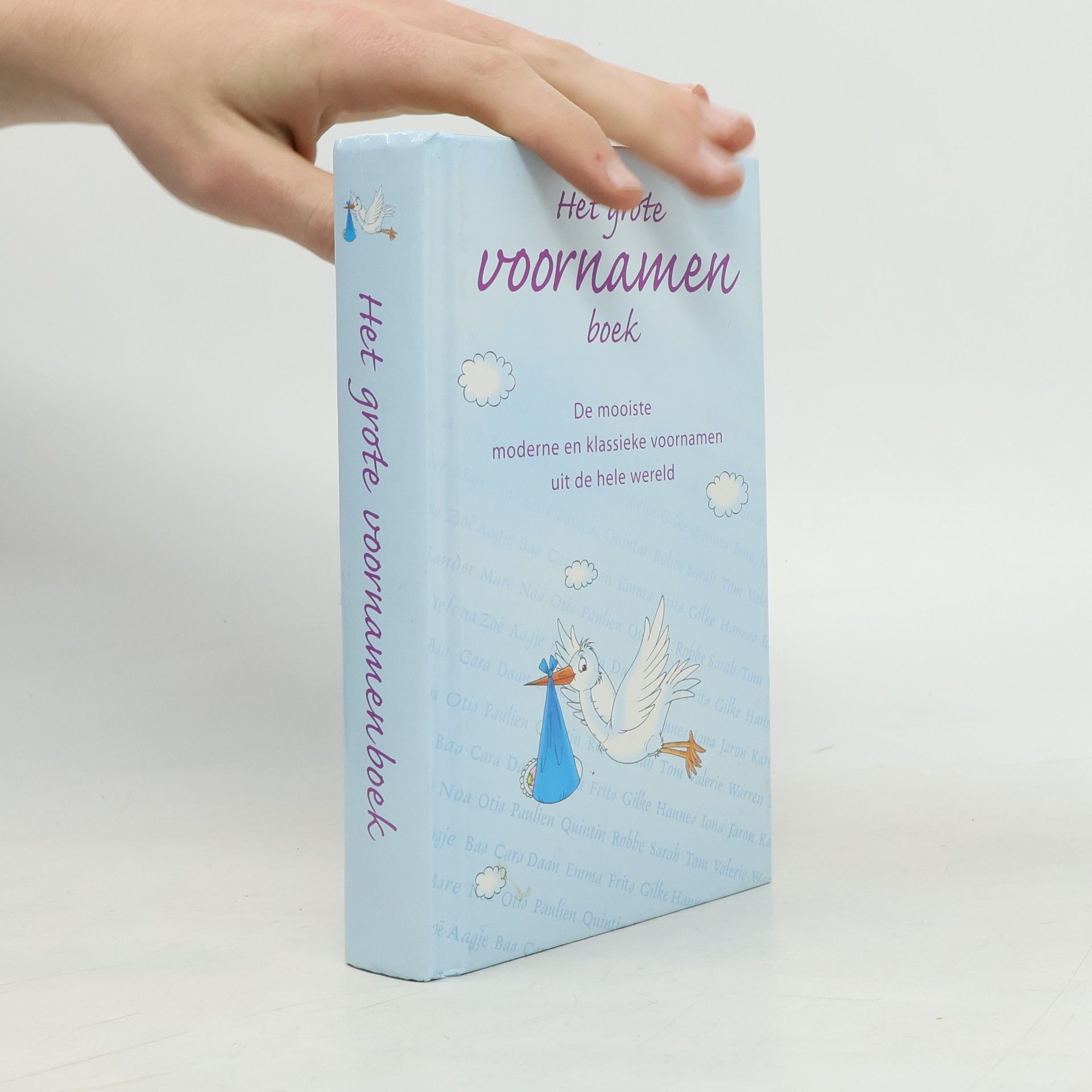 Autores varios Het grote voornamen boek