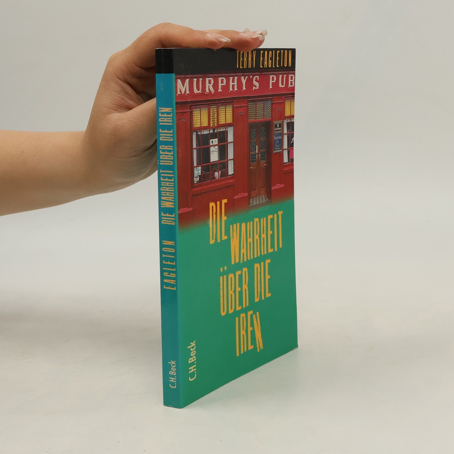 Terry Eagleton Die Wahrheit über die Iren
