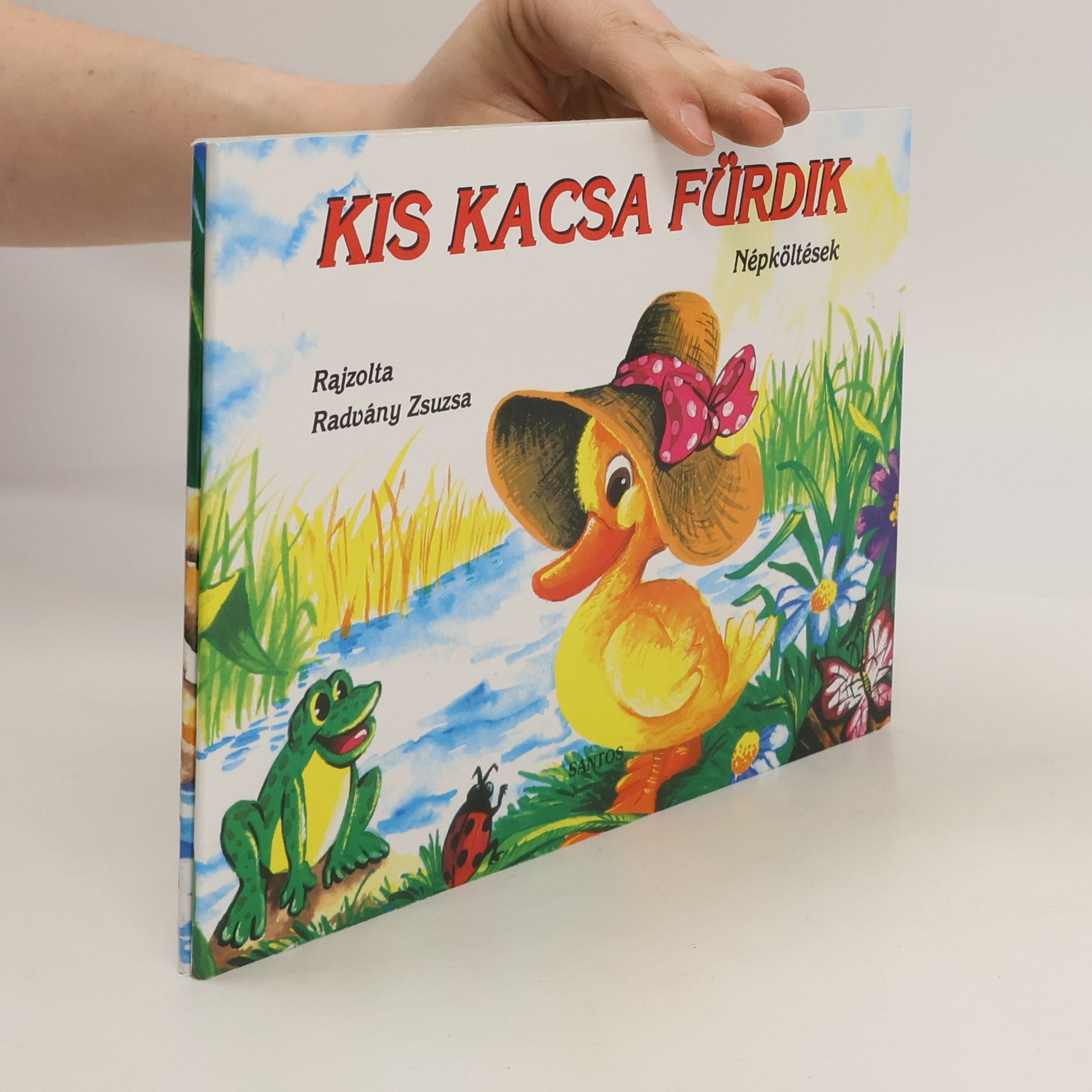 Zsuzsa Radvány Kis kacsa fürdik