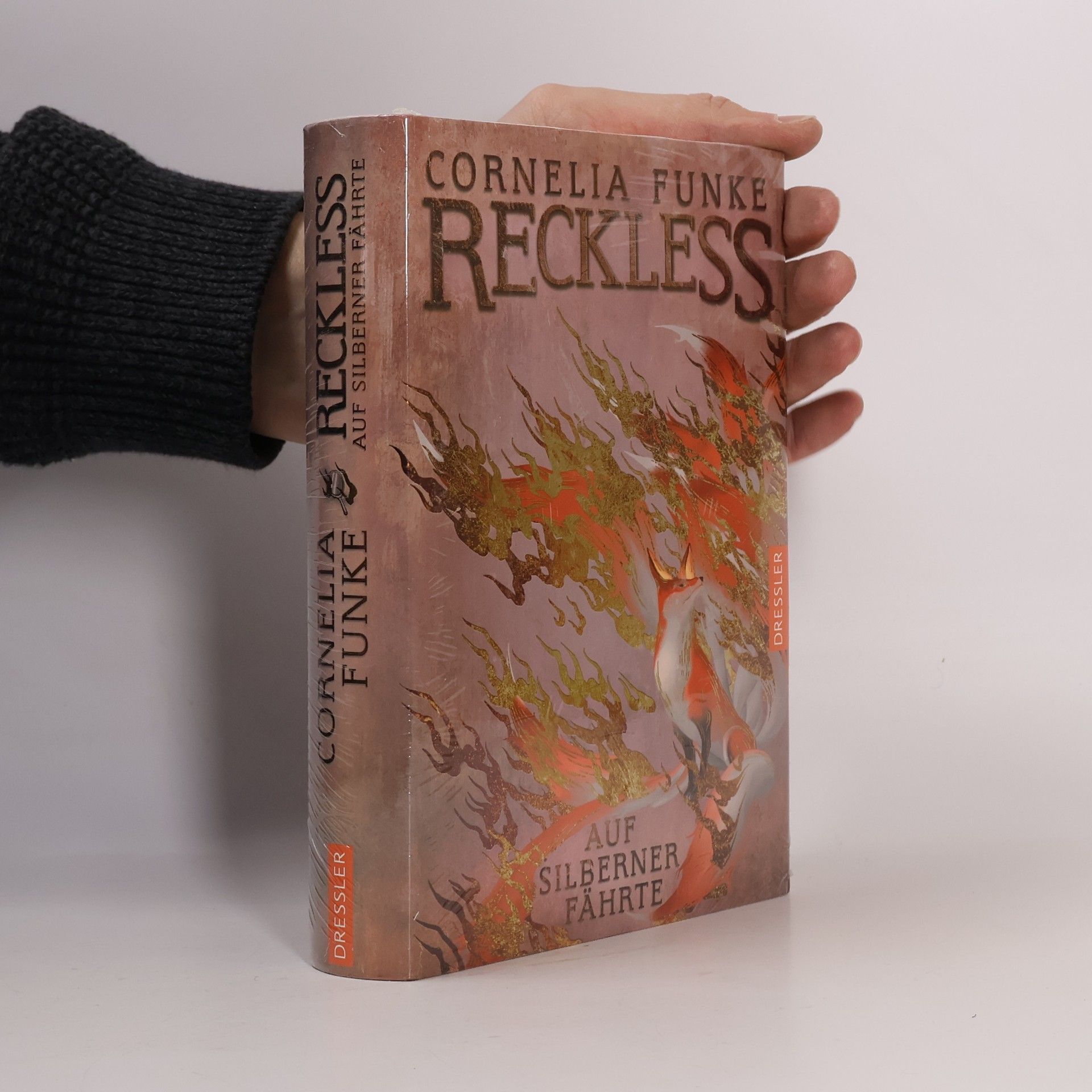 Cornelia Funke Reckless 4. Auf silberner Fährte