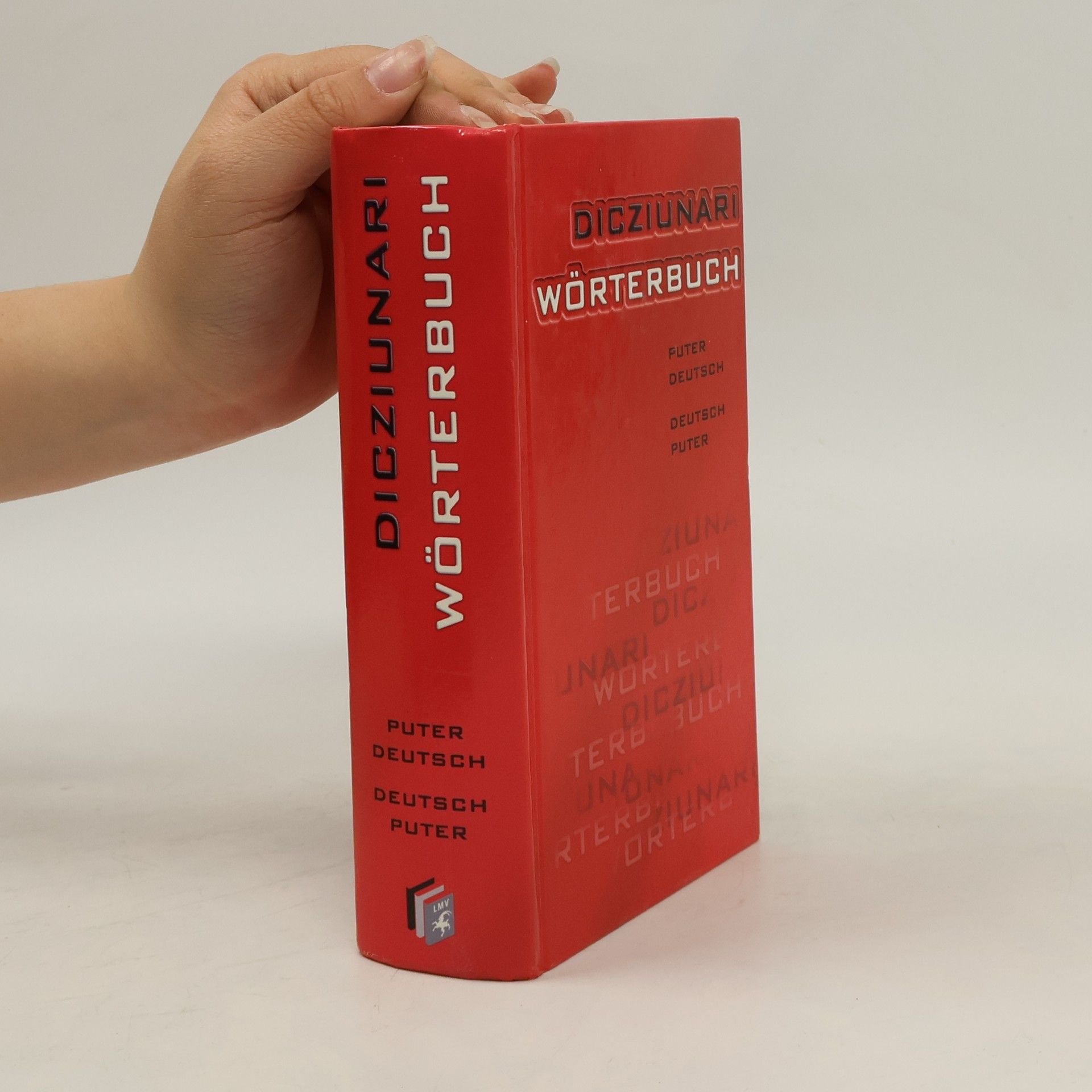 Autorenkollektiv Dicziunari Wörterbuch