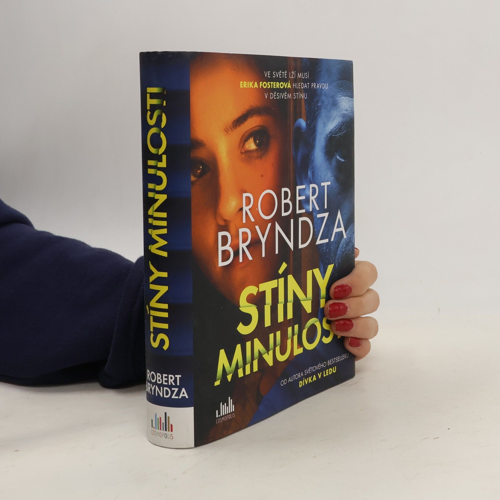 Robert Bryndza Stíny minulosti