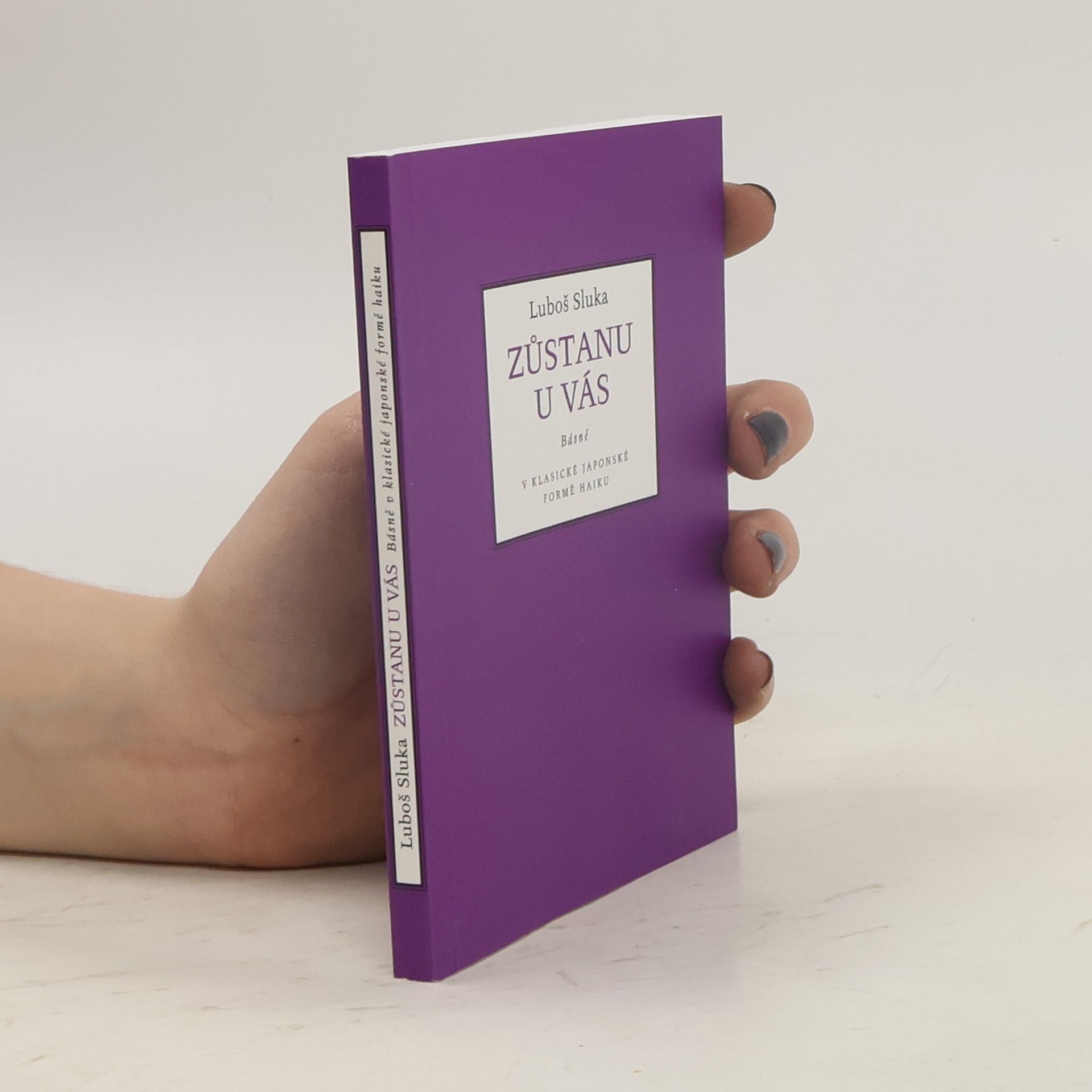 Luboš Sluka Zůstanu u vás