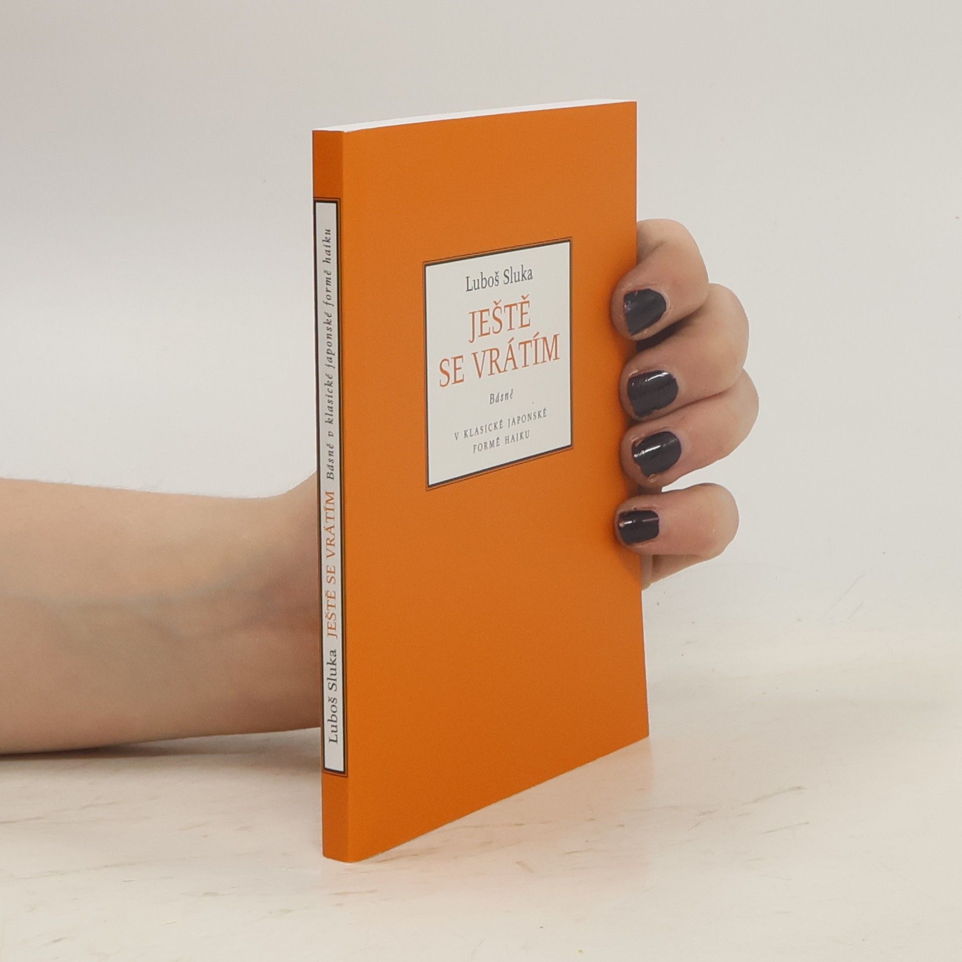 Luboš Sluka Ještě se vrátím