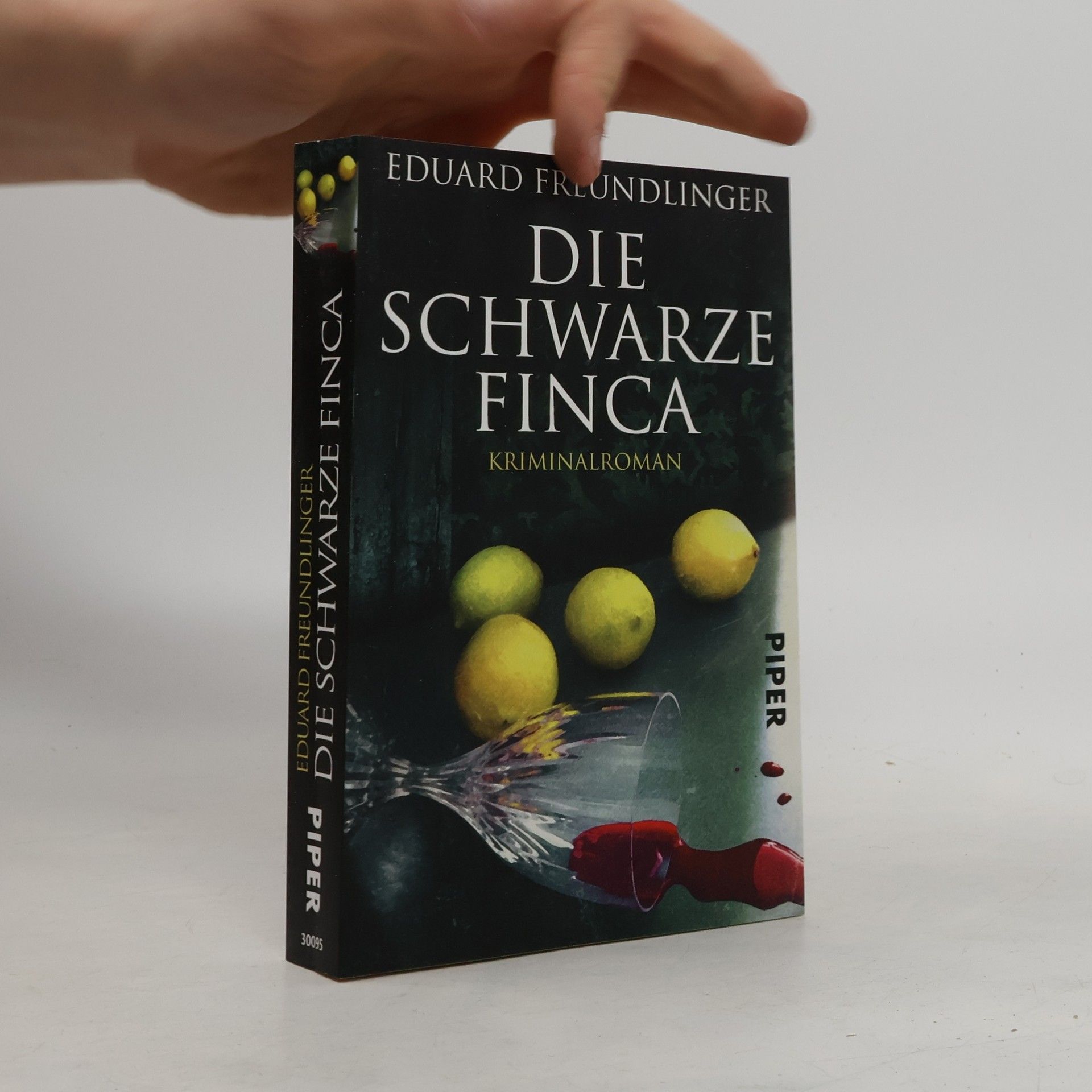 Eduard Freundlinger Die schwarze Finca