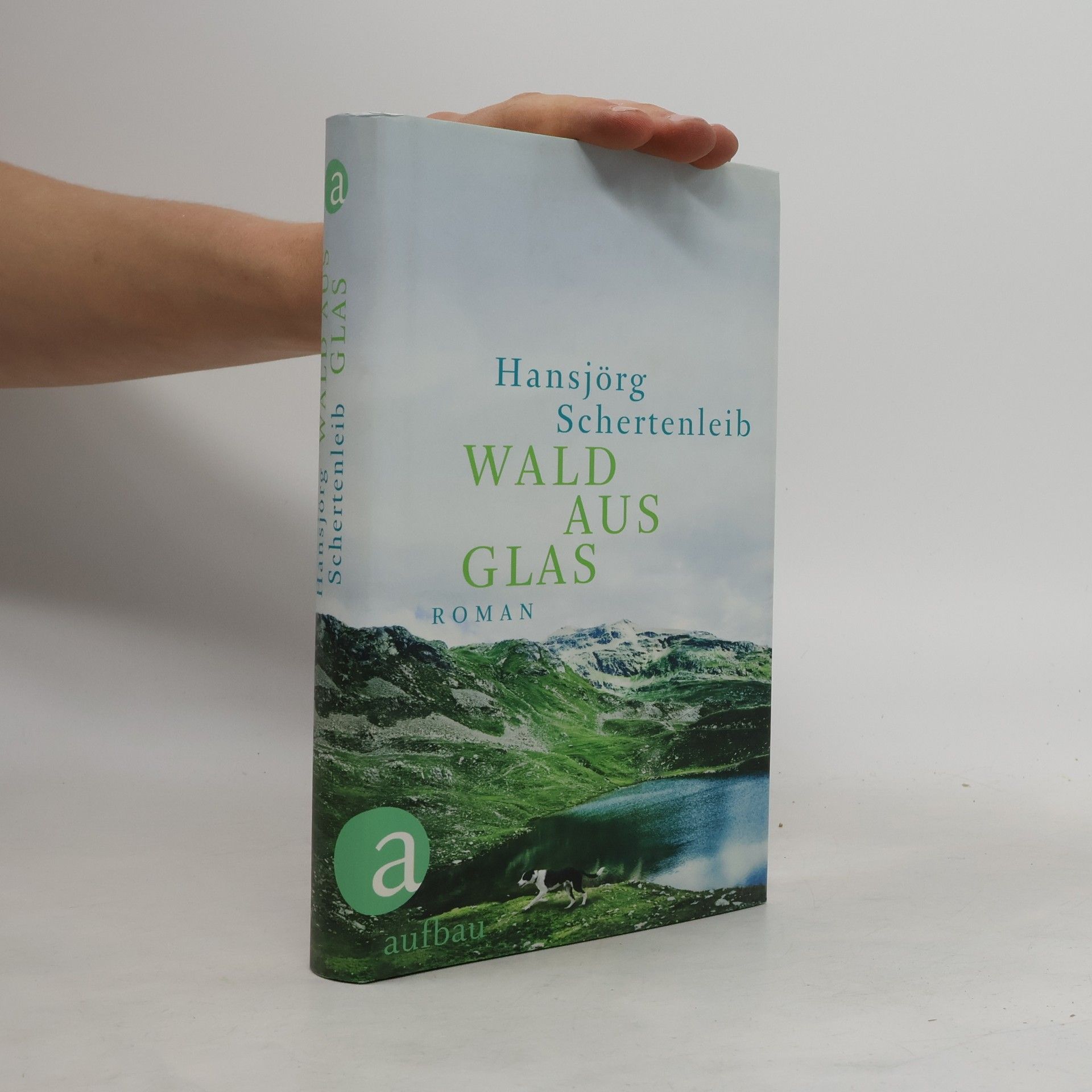 Hansjörg Schertenleib Wald aus Glas