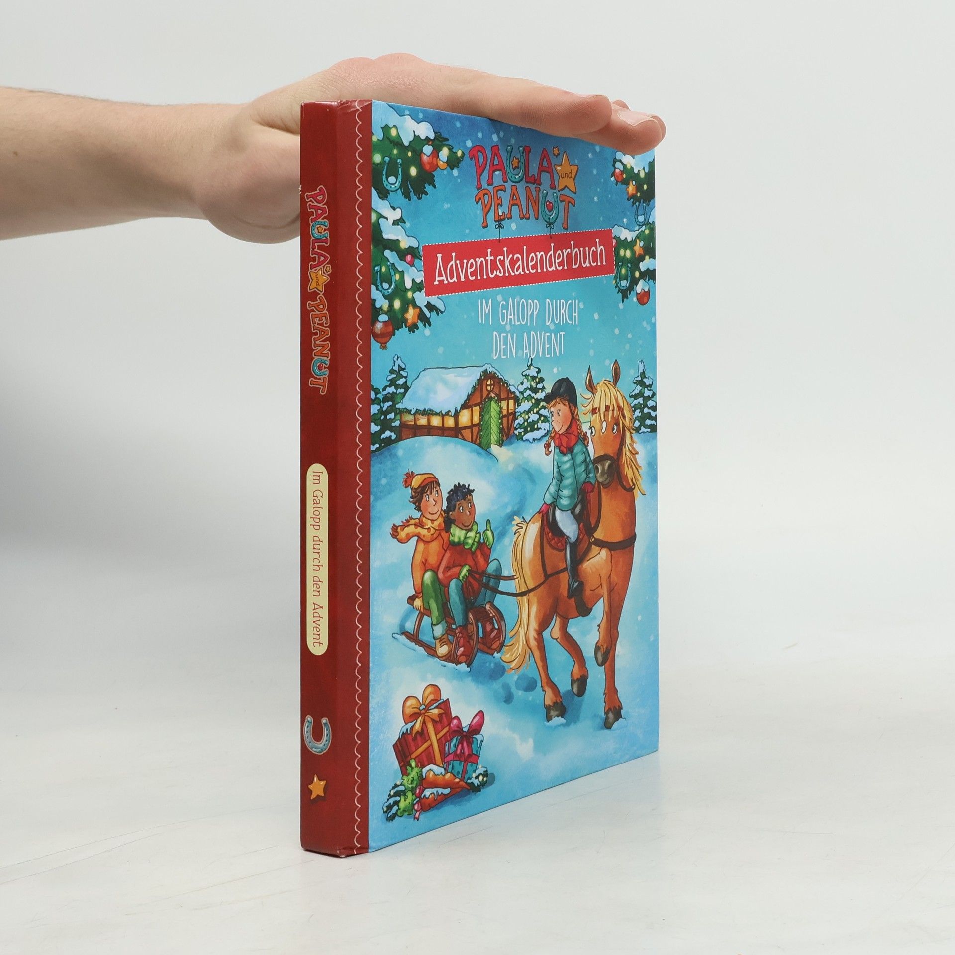 Adventskalenderbuch. Im Galopp durch den Advent