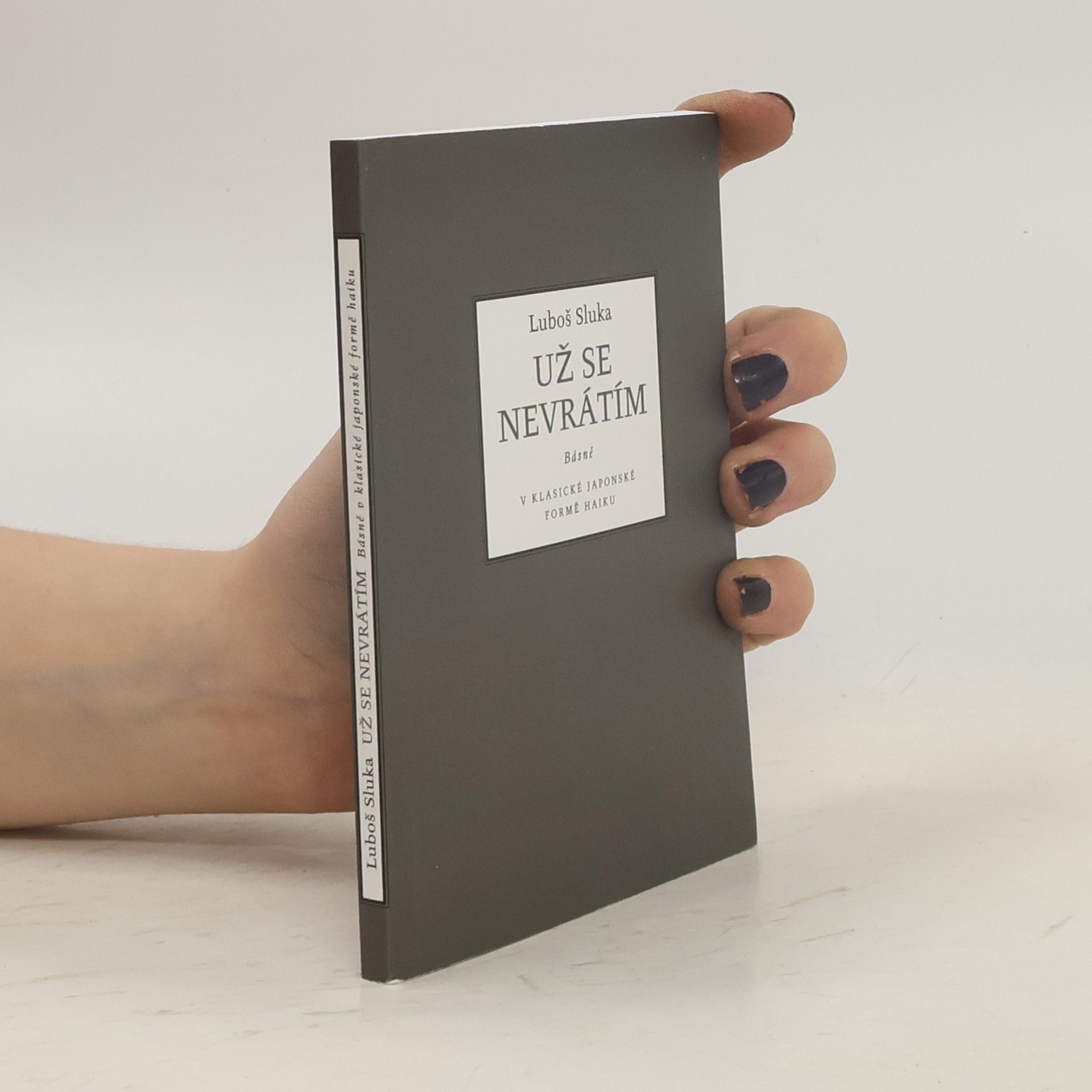 Luboš Sluka Už se tam nevrátím