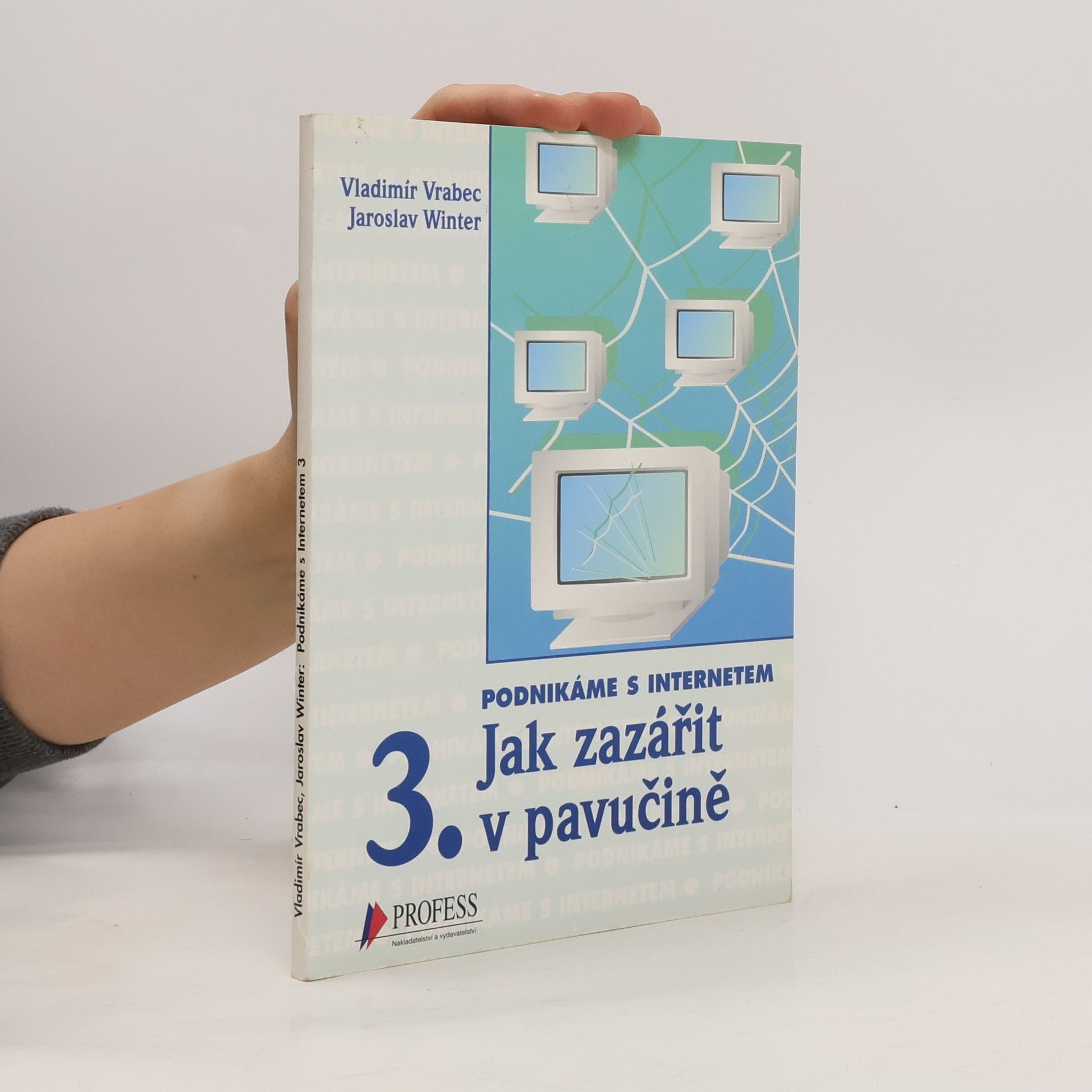 Vladimír Vrabec Podnikáme s internetem: Jak zazářit v pavučině