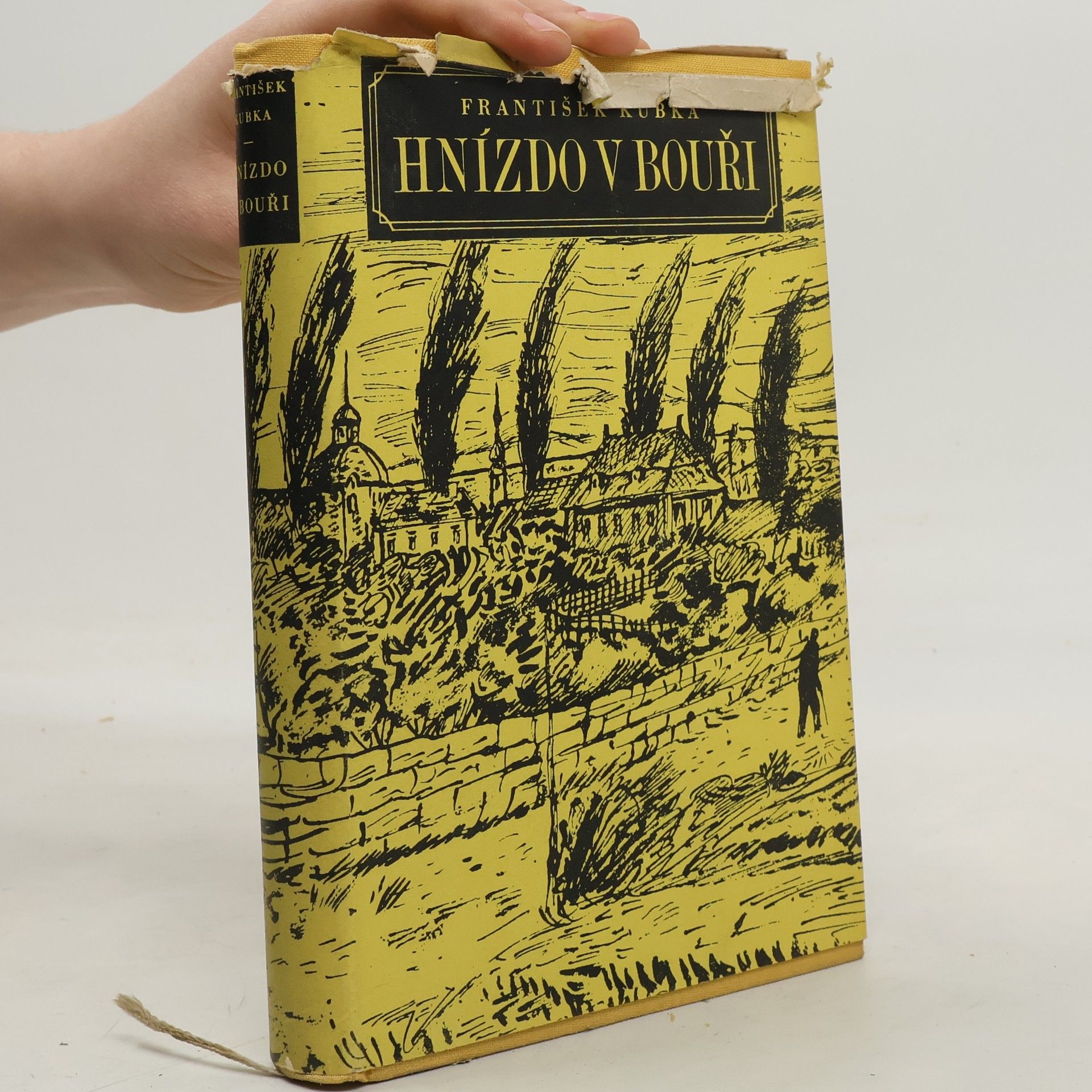 František Kubka Hnízdo v bouři