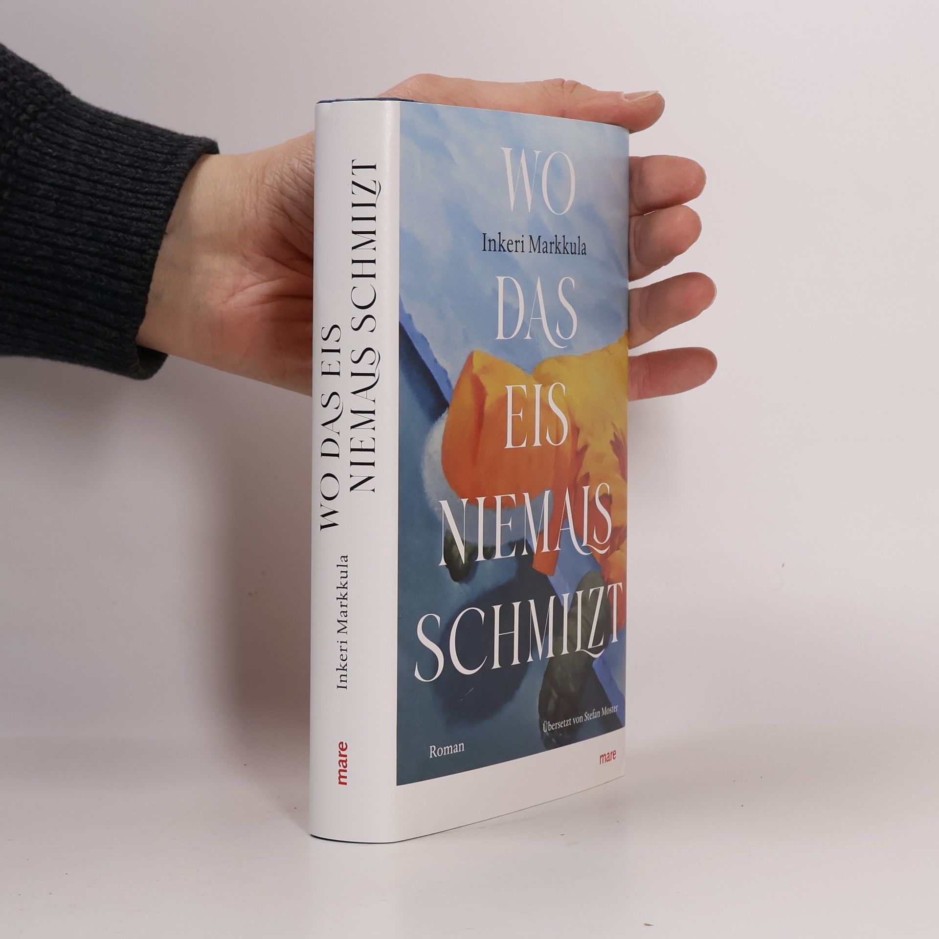 Inkeri Markkula Wo das Eis niemals schmilzt