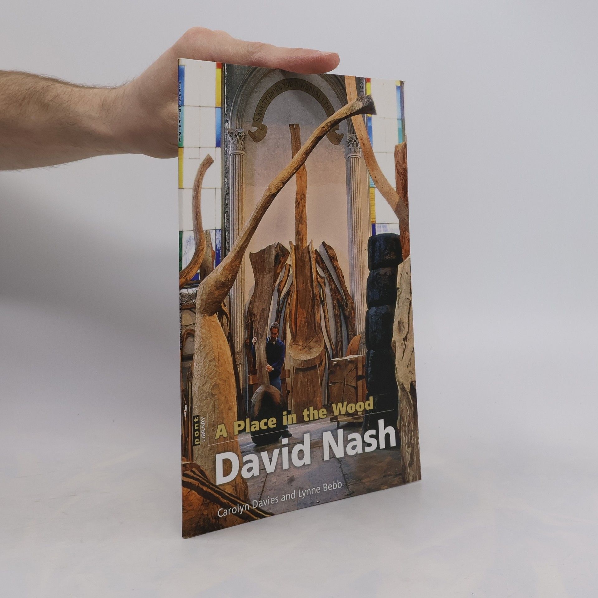 Carolyn Davies A Place in the Wood - David Nash