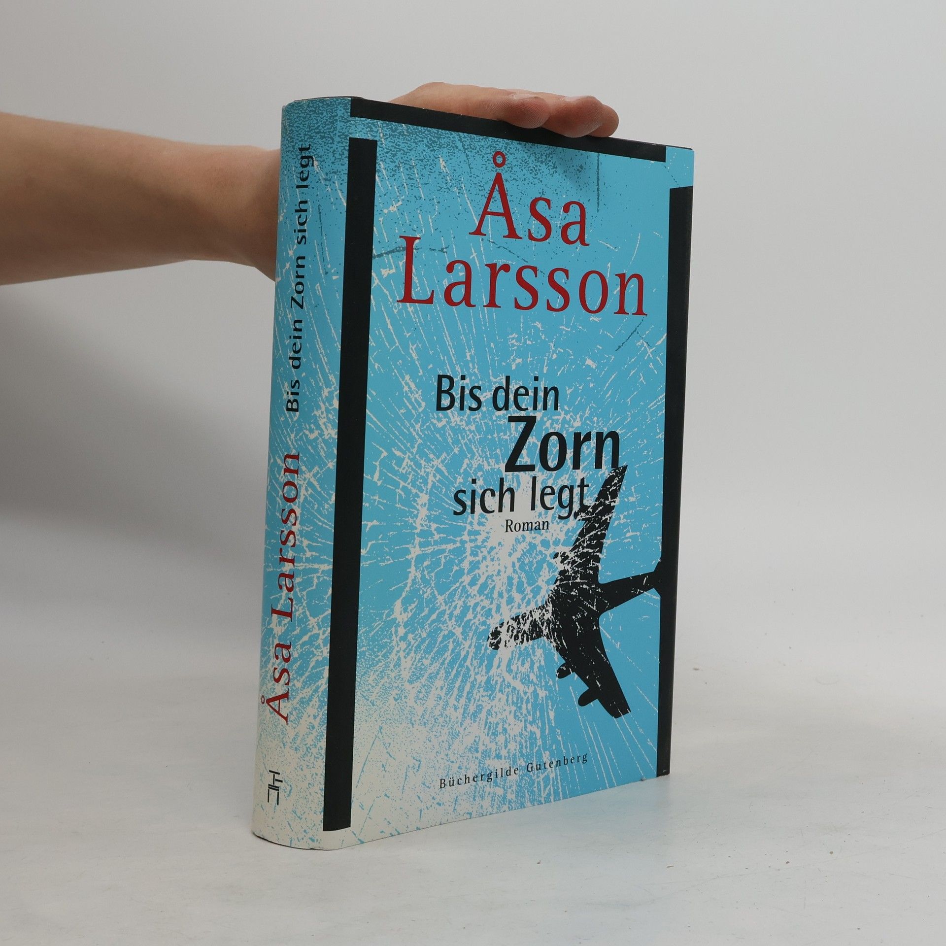 Åsa Larsson Bis dein Zorn sich legt