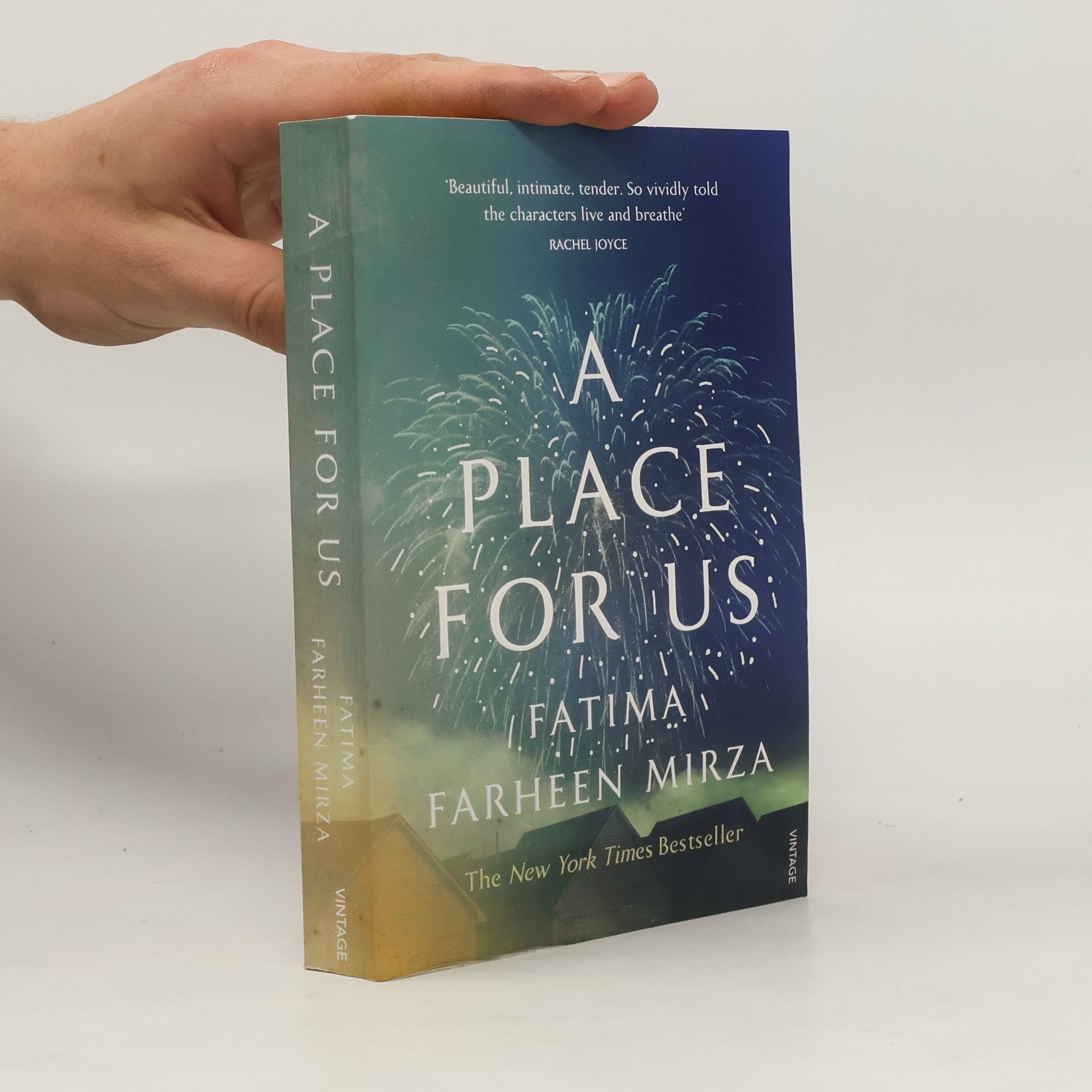 Fatima Farheen Mirza A Place for Us