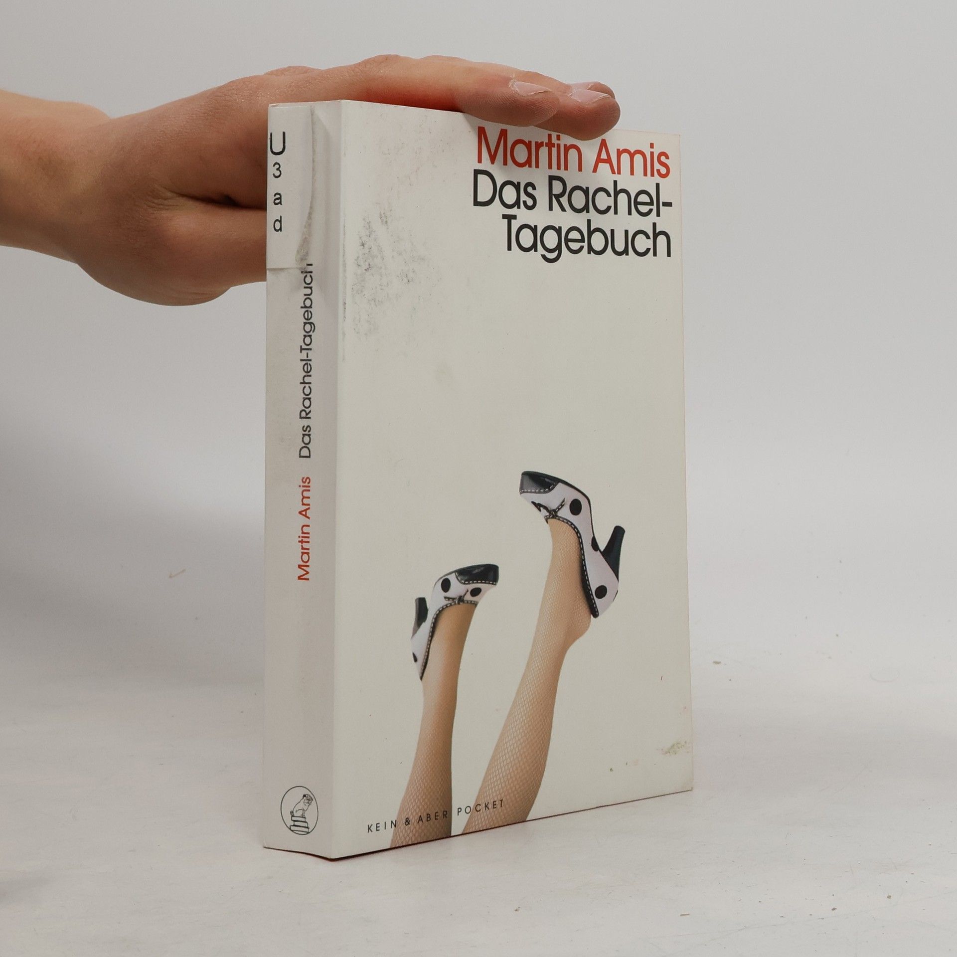 Martin Amis Das Rachel-Tagebuch