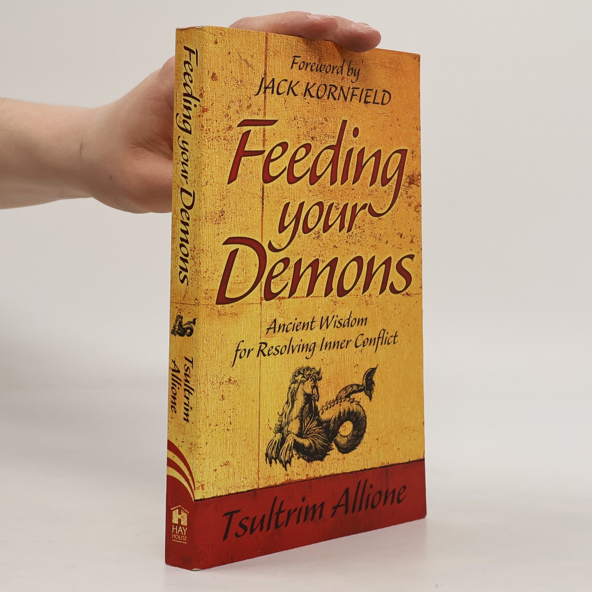 Tsultrim Allione Feeding Your Demons