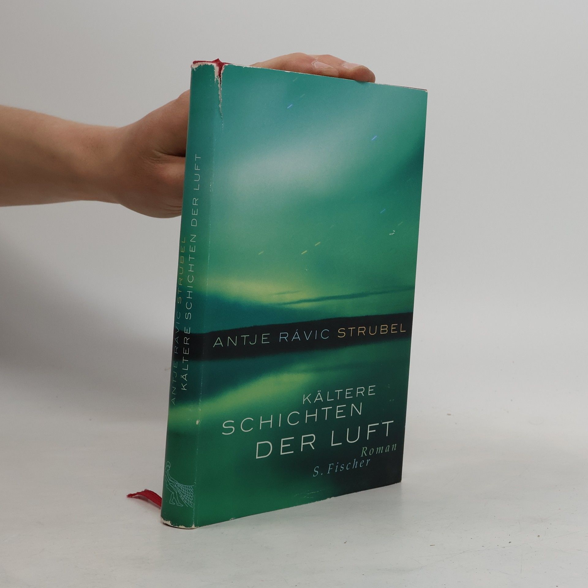 Antje Rávic Strubel Kältere Schichten der Luft