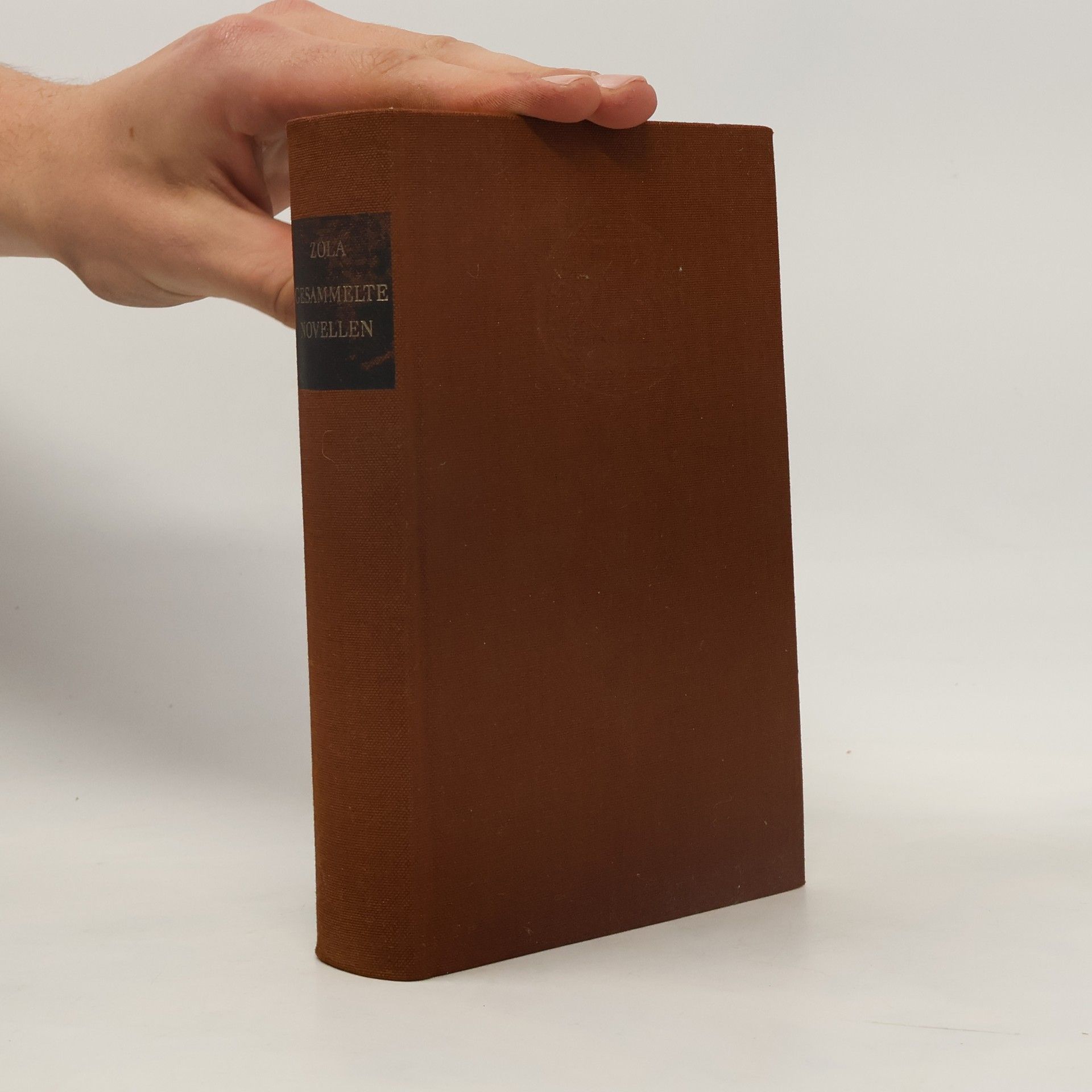 Émile Zola Gesammelte Novellen