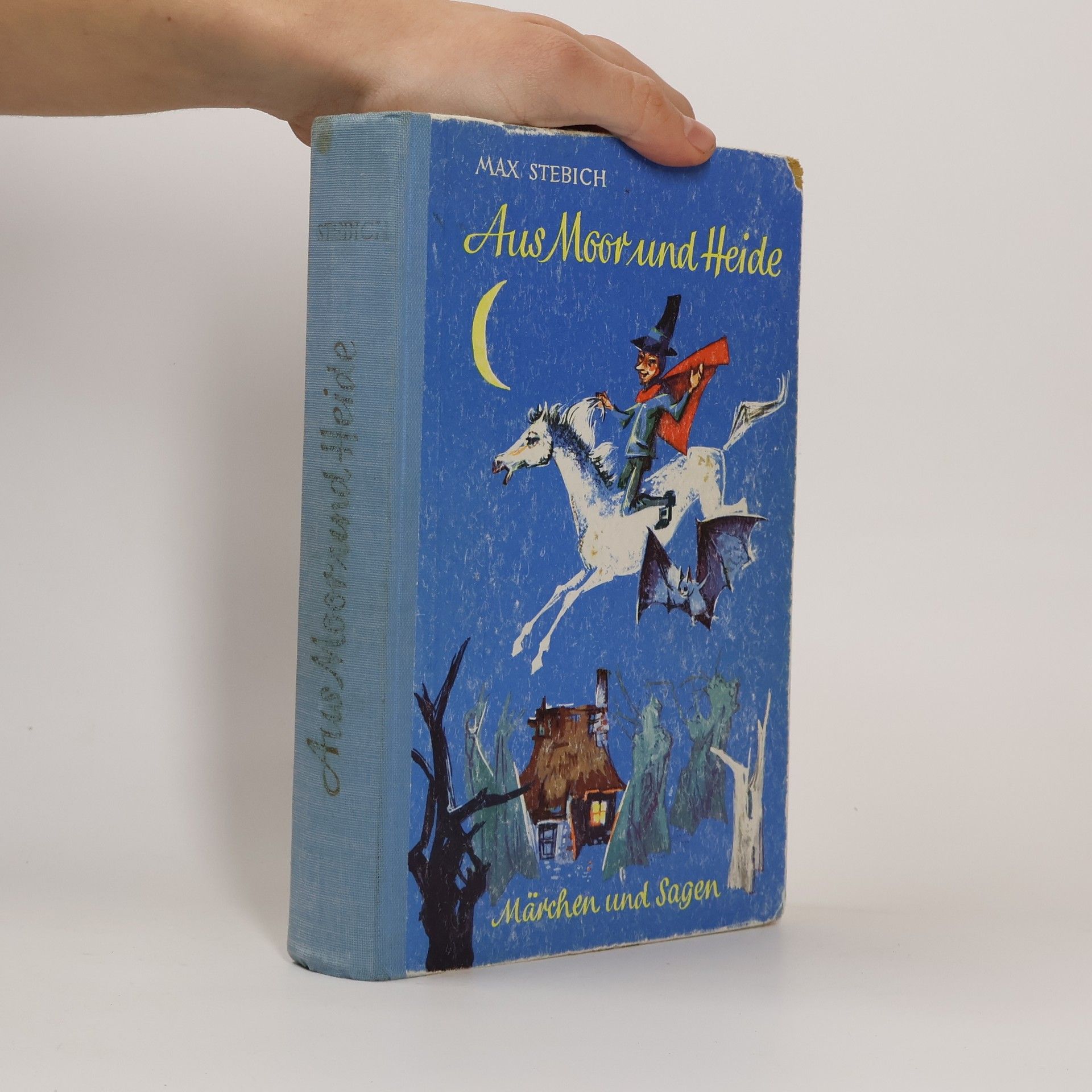 Max Stebich Aus Moor und Heide