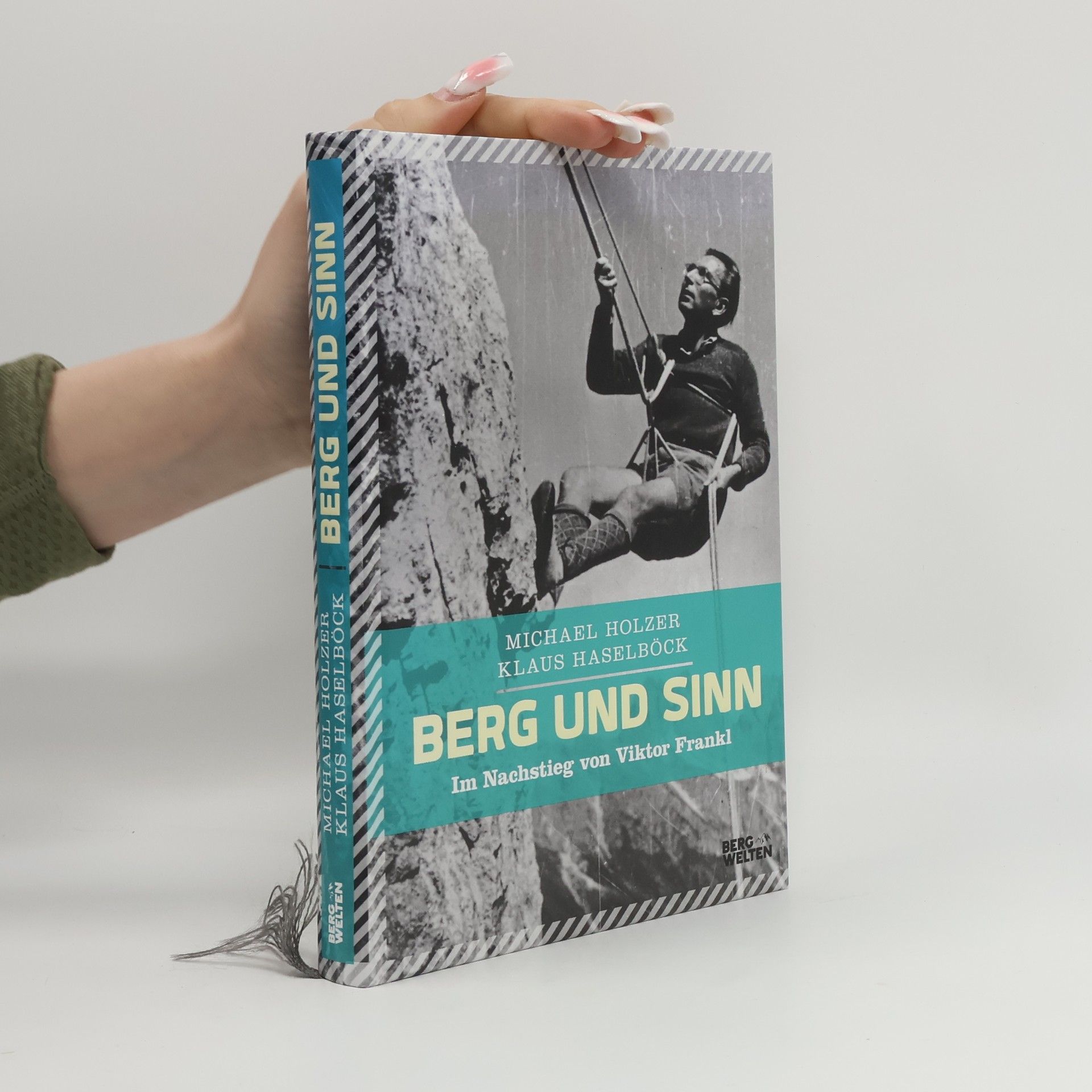 Michael Holzer Berg und Sinn