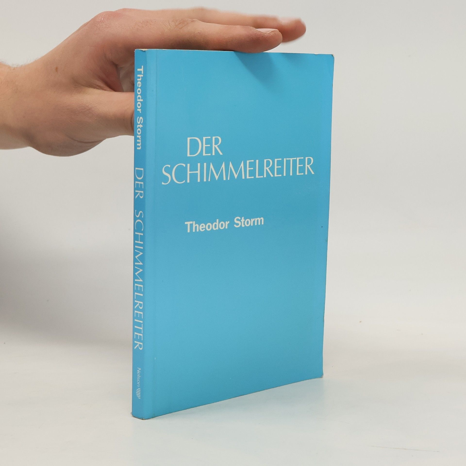 Theodor Storm Der Schimmelreiter