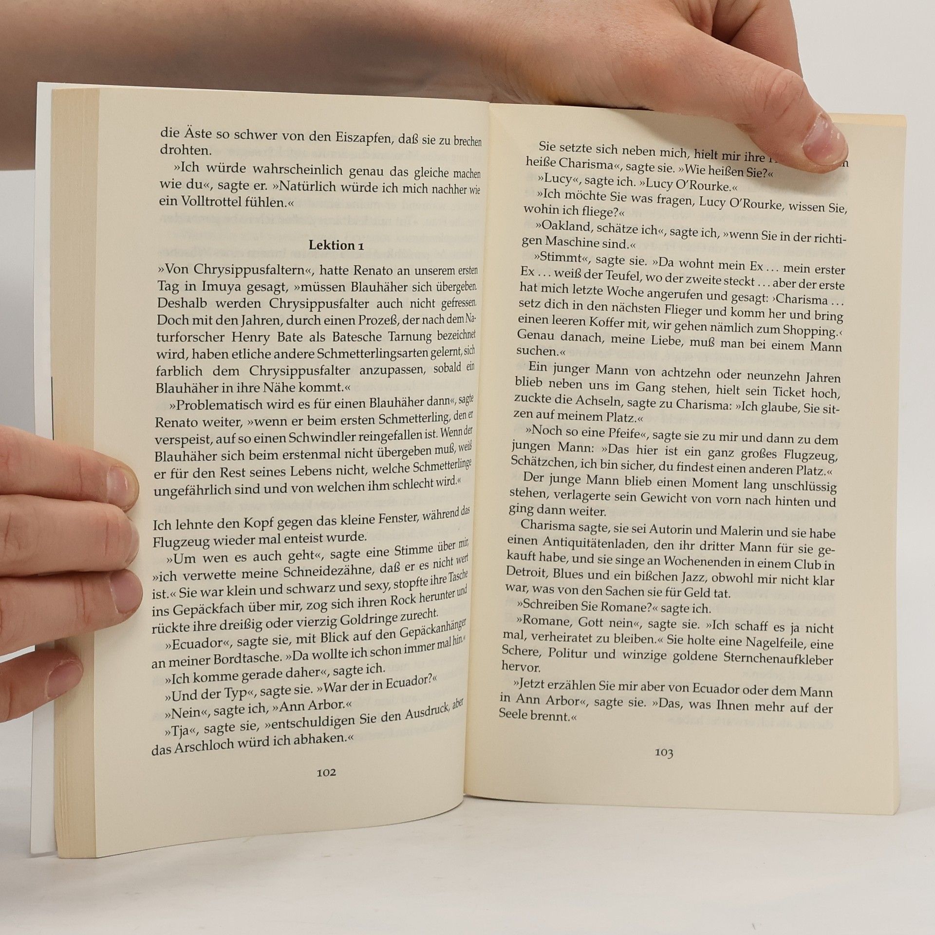 Pam Houston Piper Taschenbuch - 3761: Die Farbe des Abenteuers
