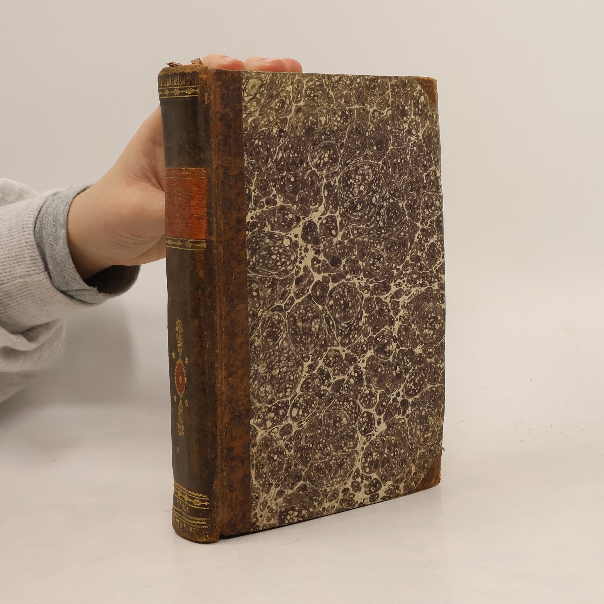 Seneca M. Annaei Senecae Rhetoris Opera