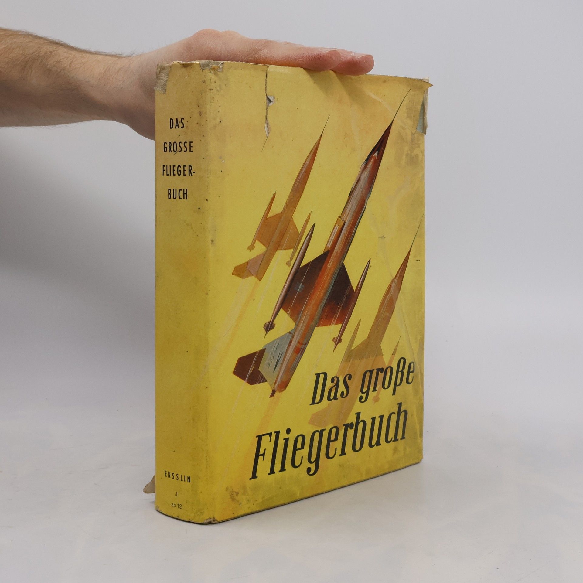 Collectif d'auteurs Das Grosse Fliegerbuch